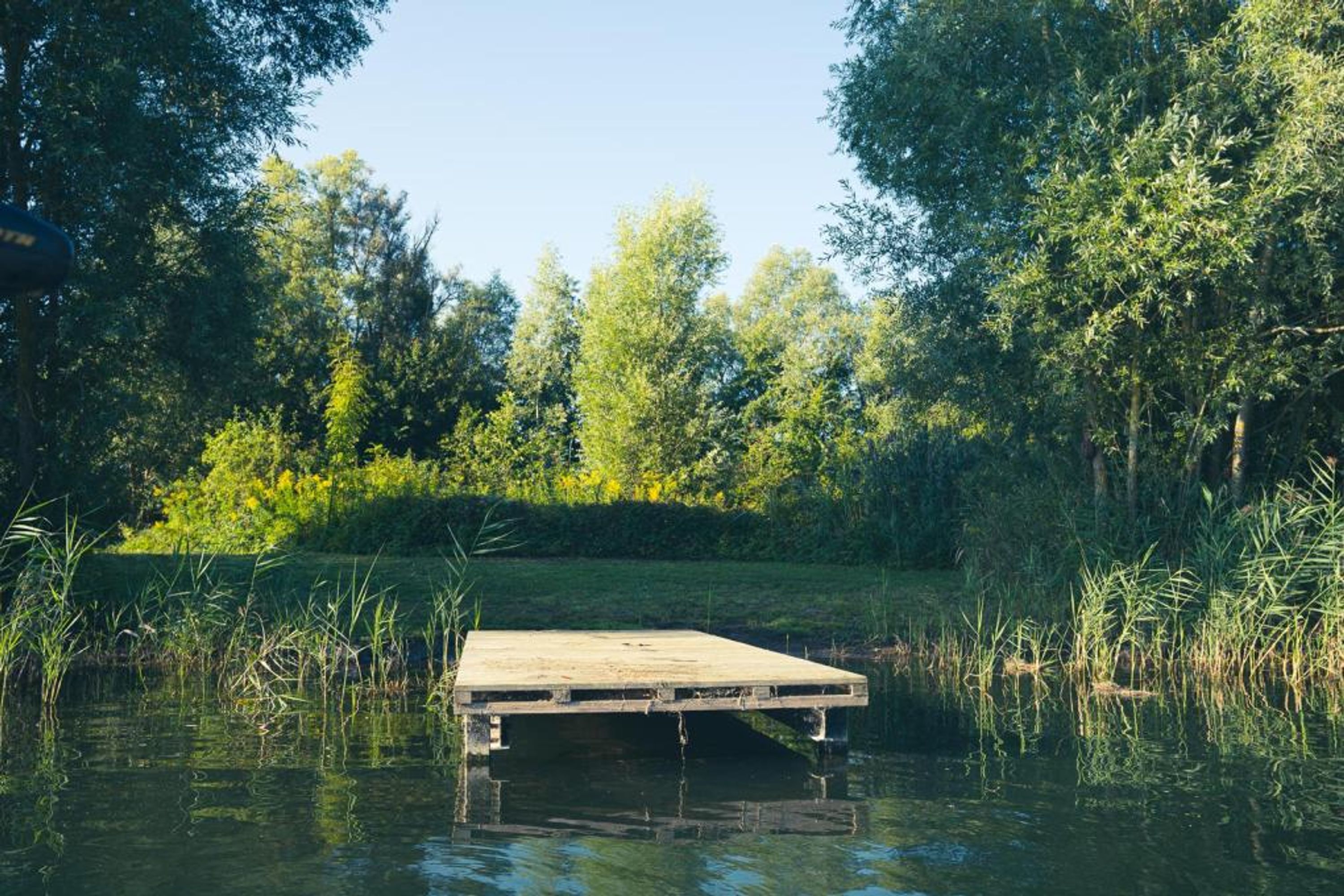 Blackberry lake