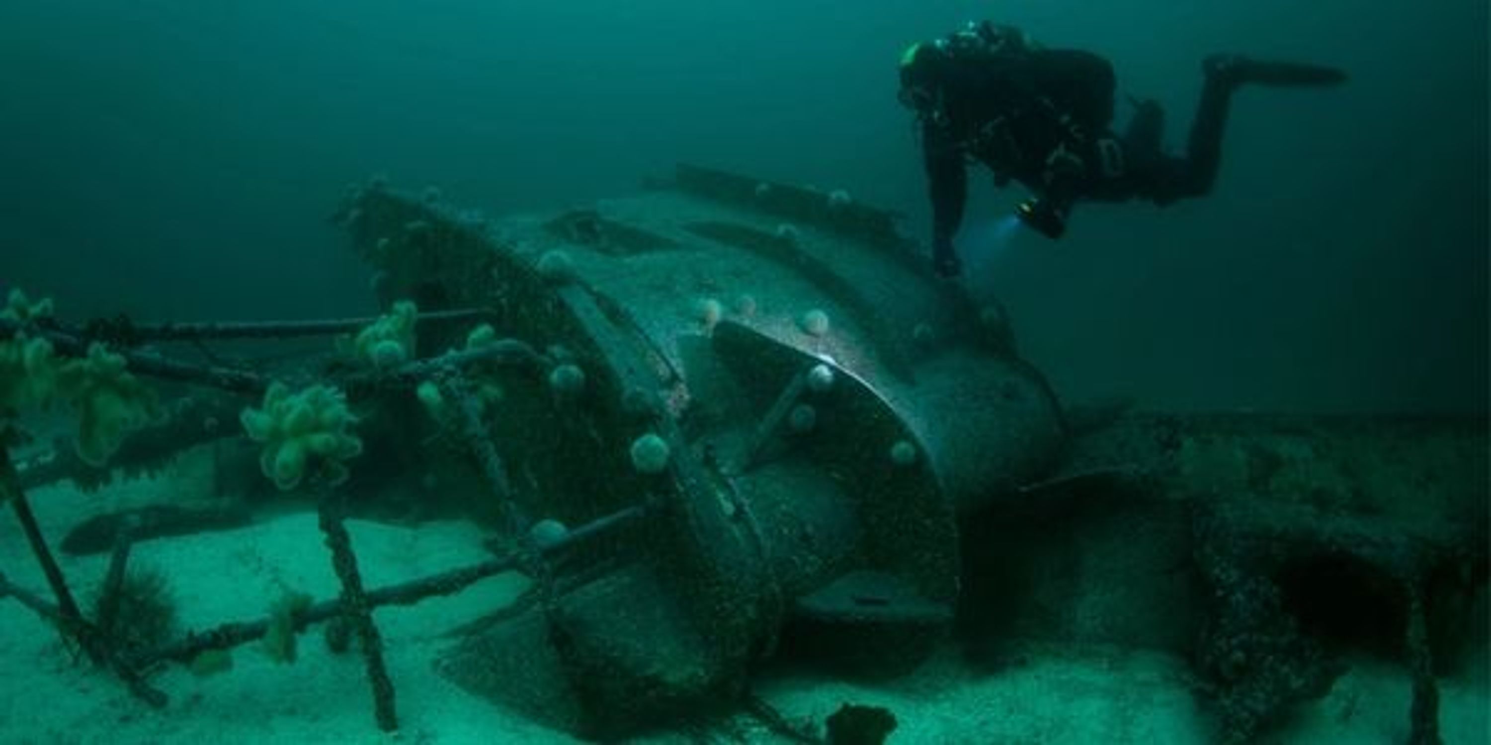 St Abbs Boat Dive