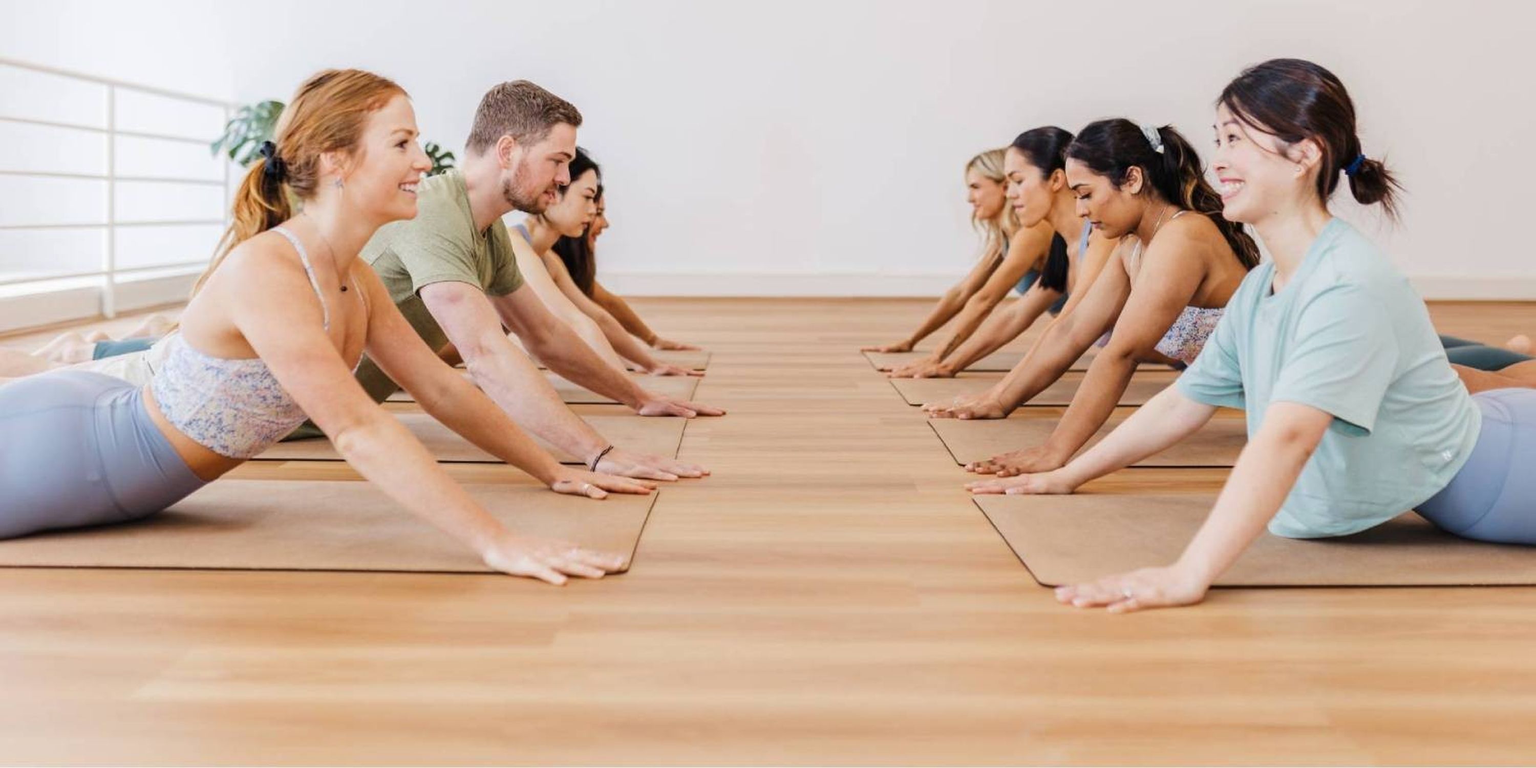 APPI Ante/Post Natal Pilates