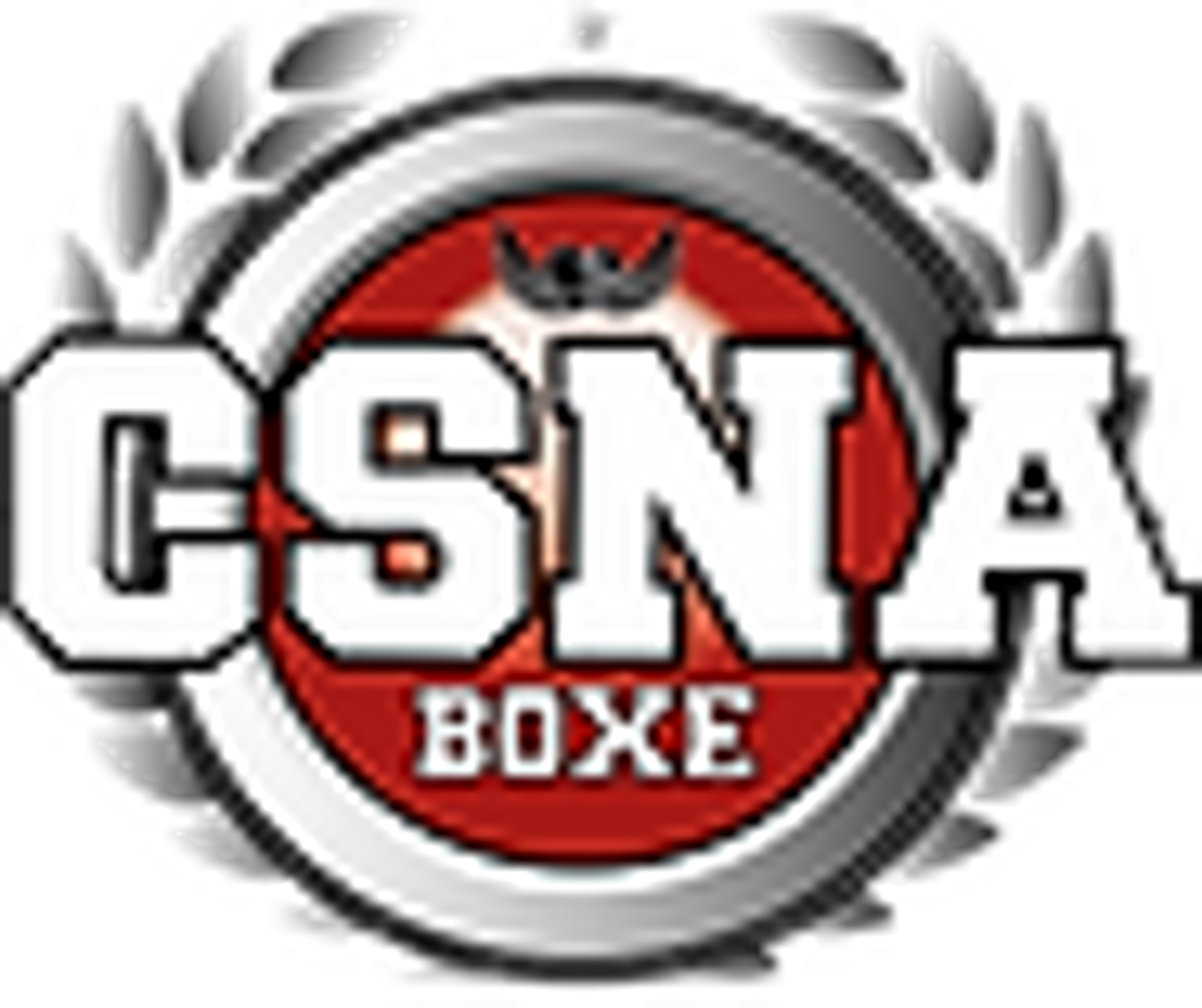 Csna