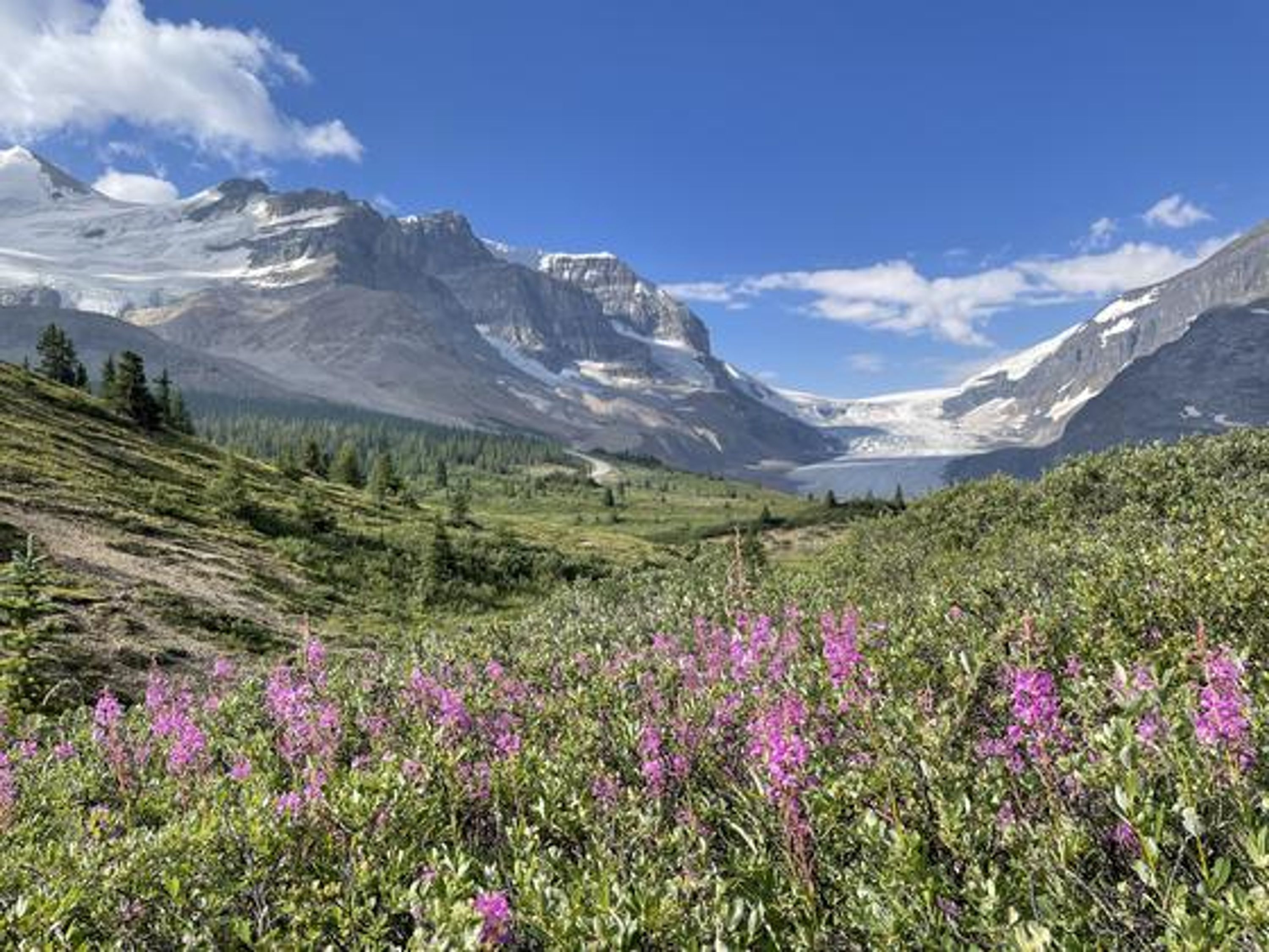 Athabasca Mile 5 White Water Rafting