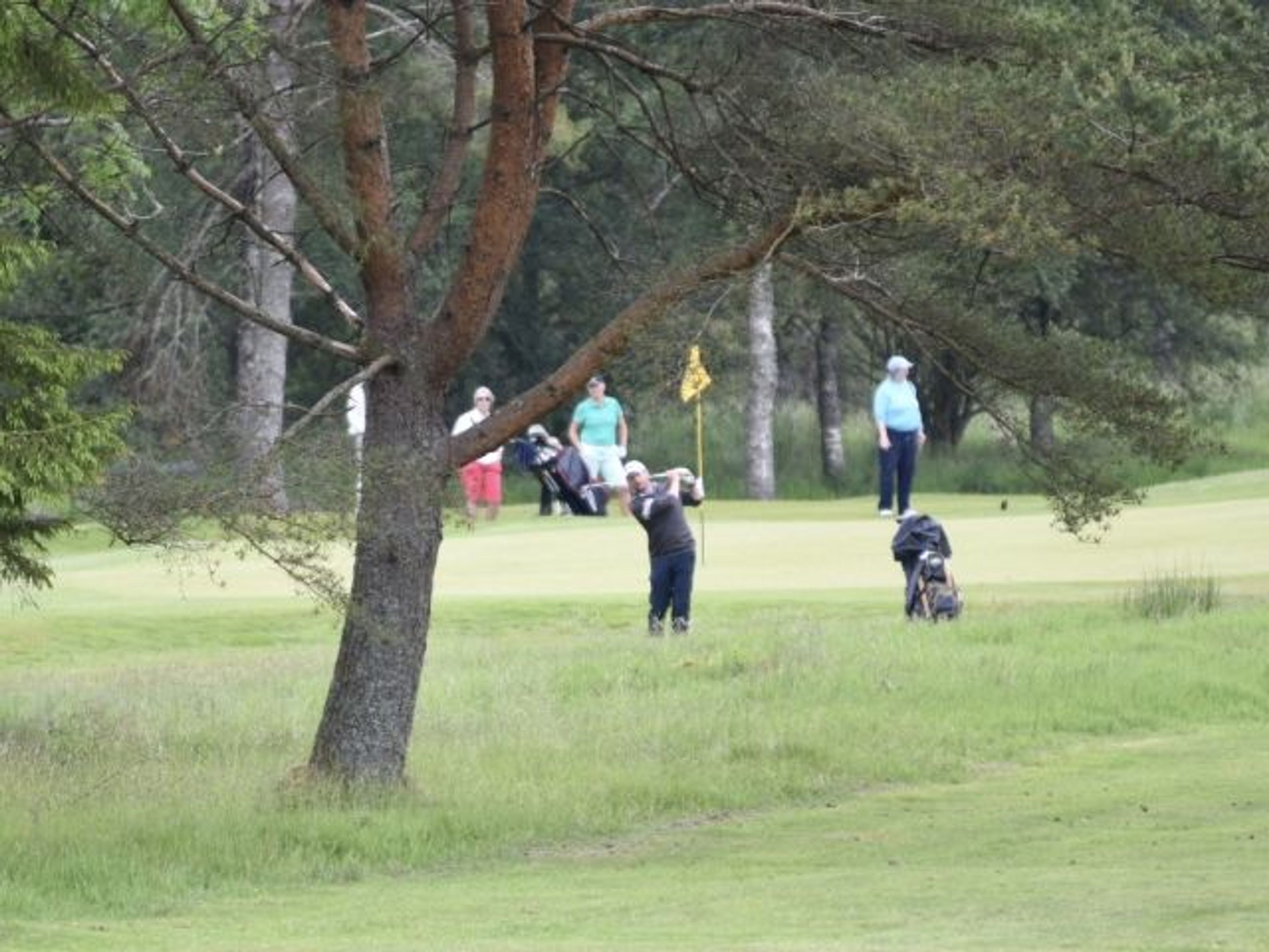 Gents Senior Open Texas Scramble