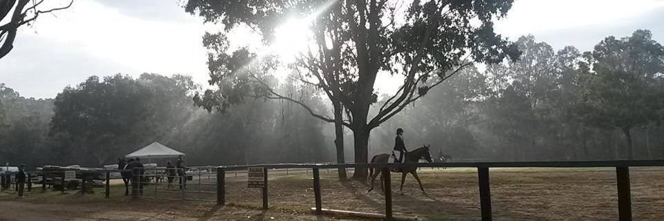 Summer Dressage Series