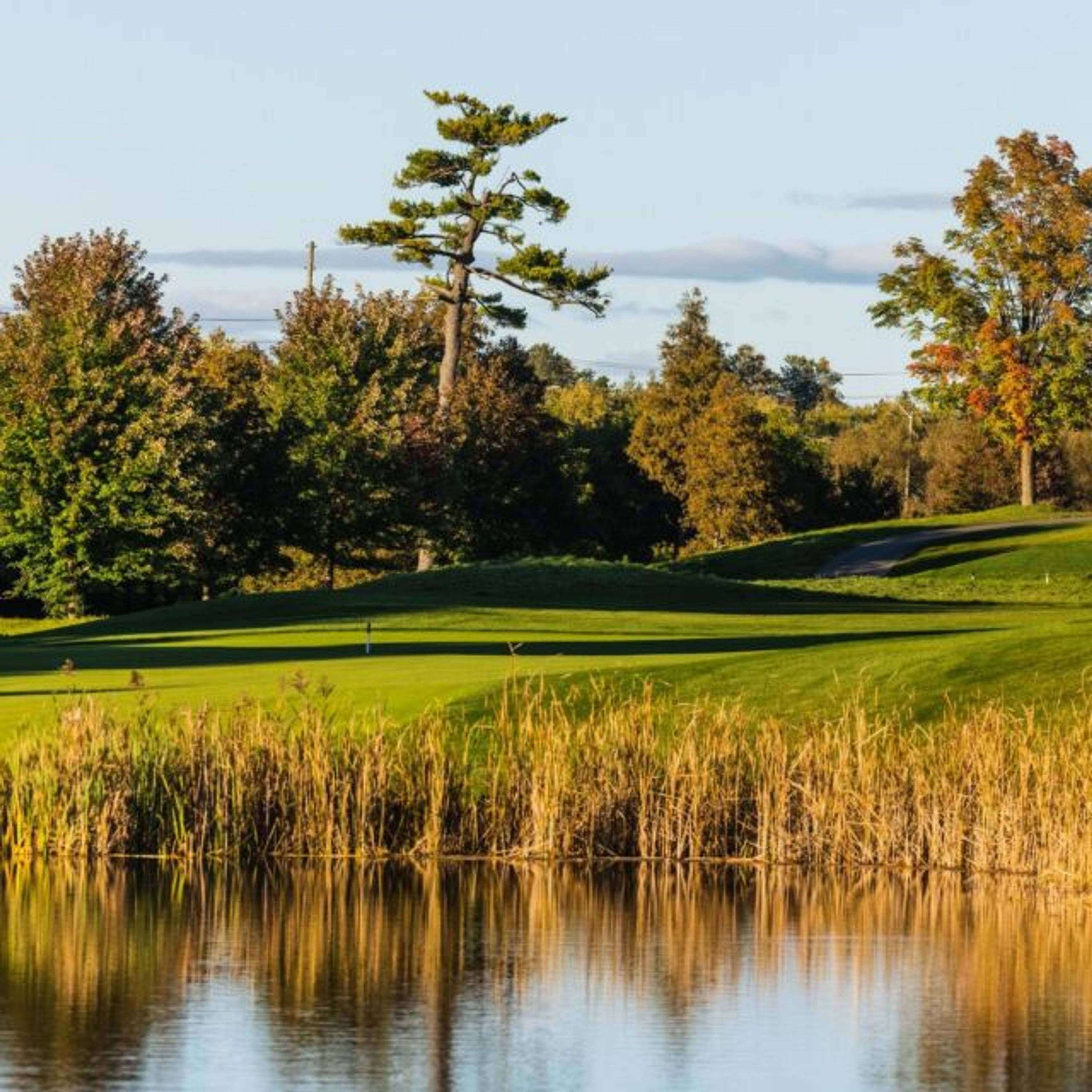 Angus Glen Golf Club Tournament