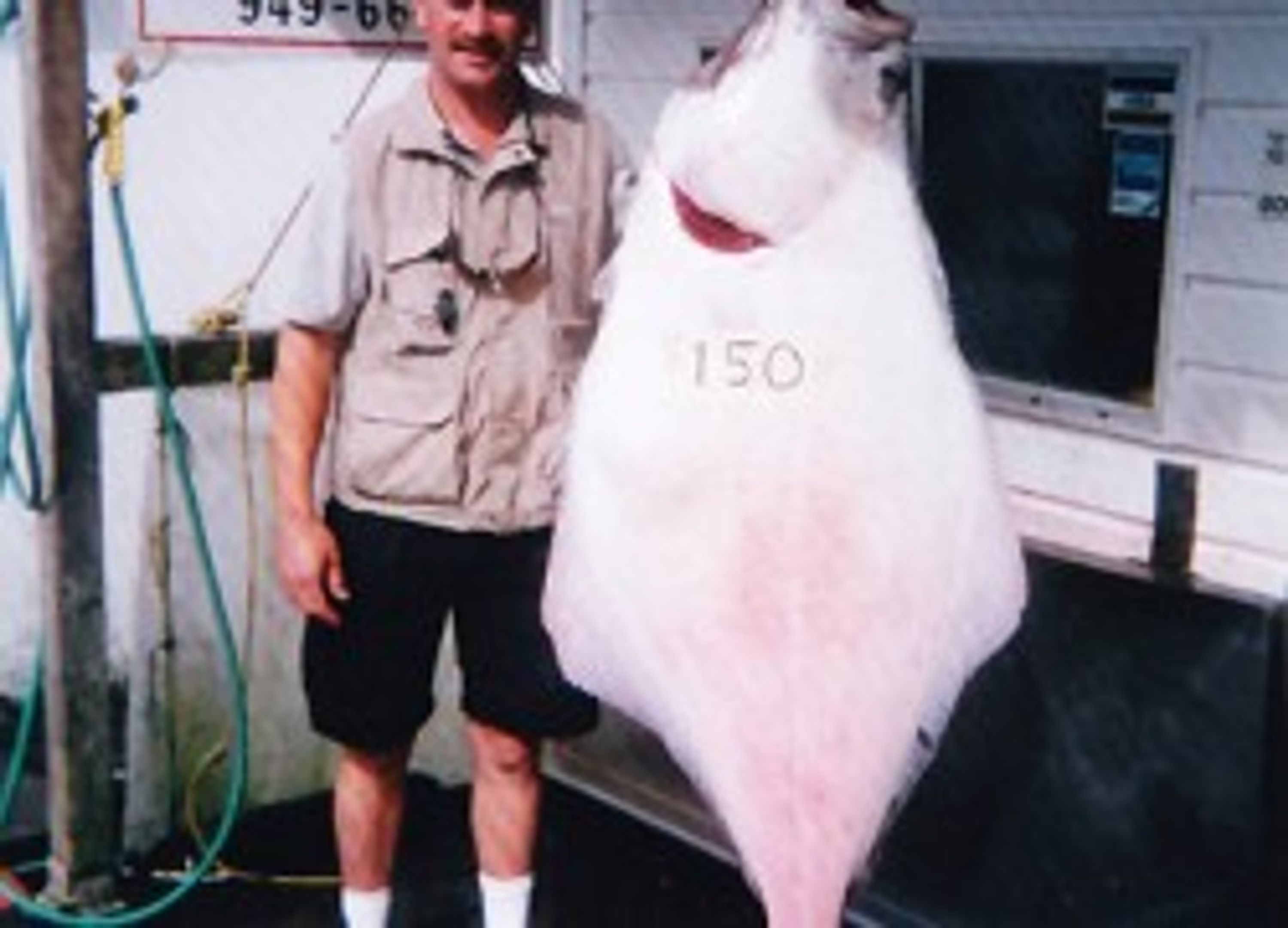 Codfather Charters Ltd