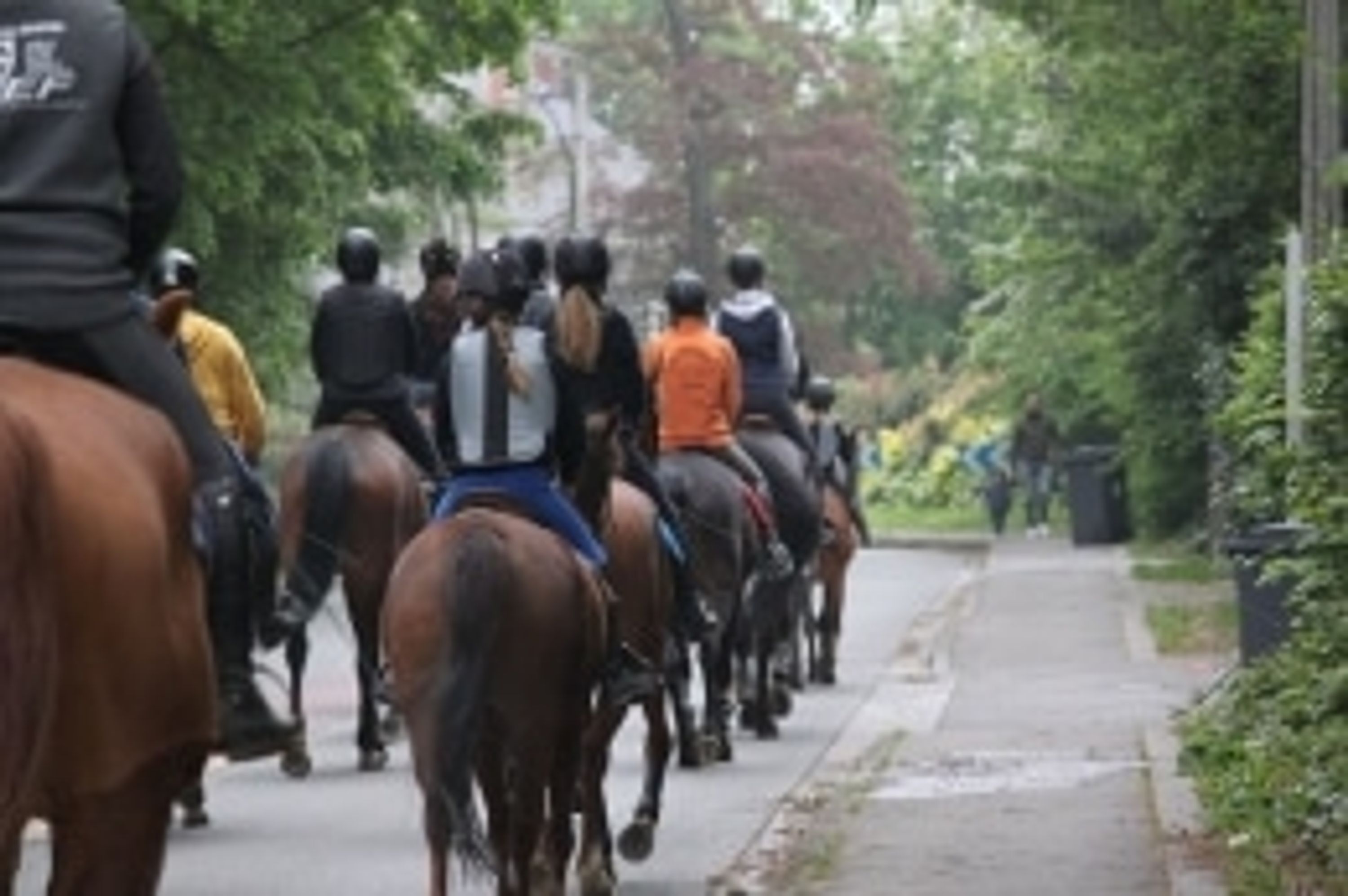 Riding Centre Le Comte
