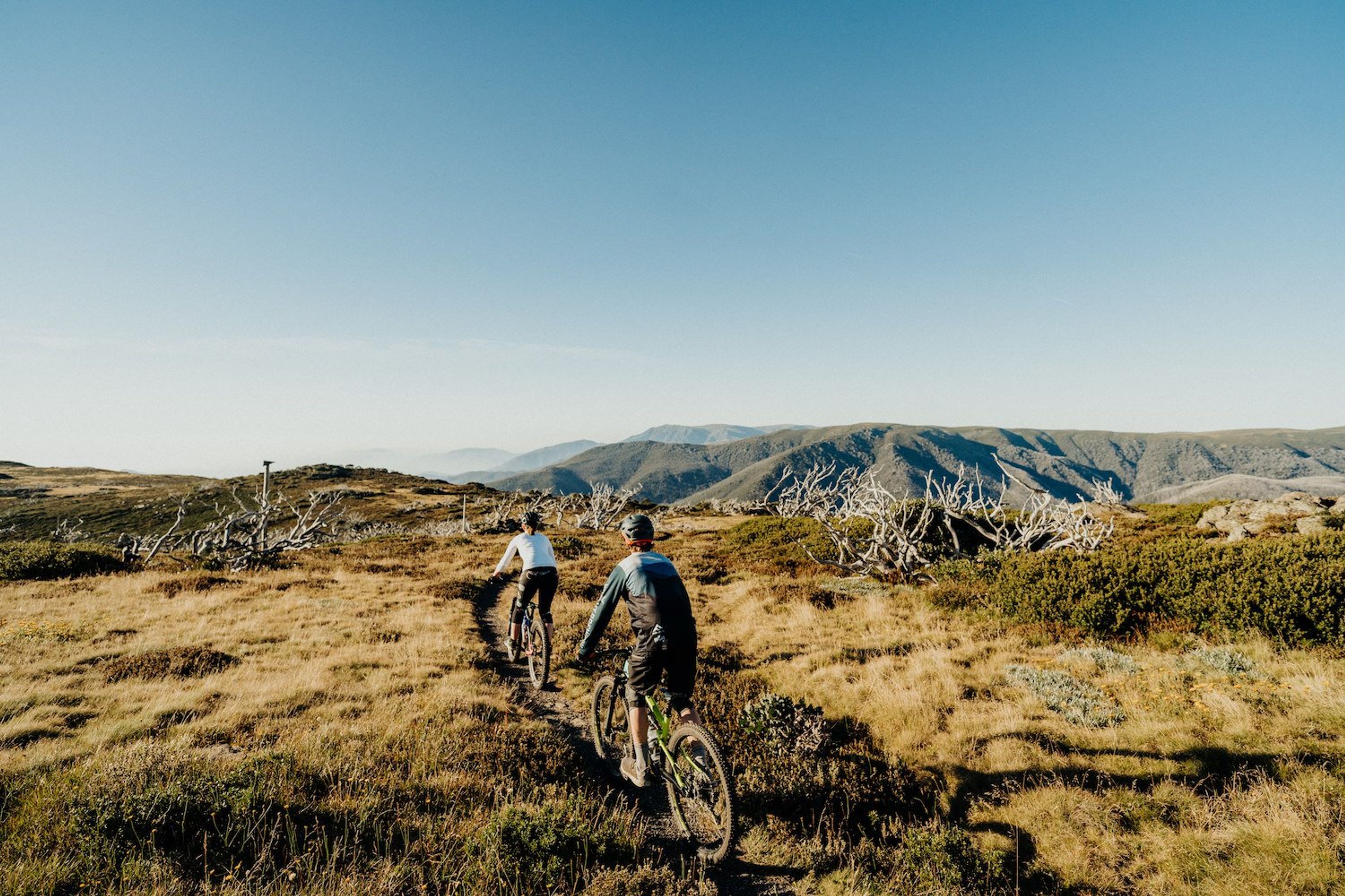 Falls Creek Resort Management