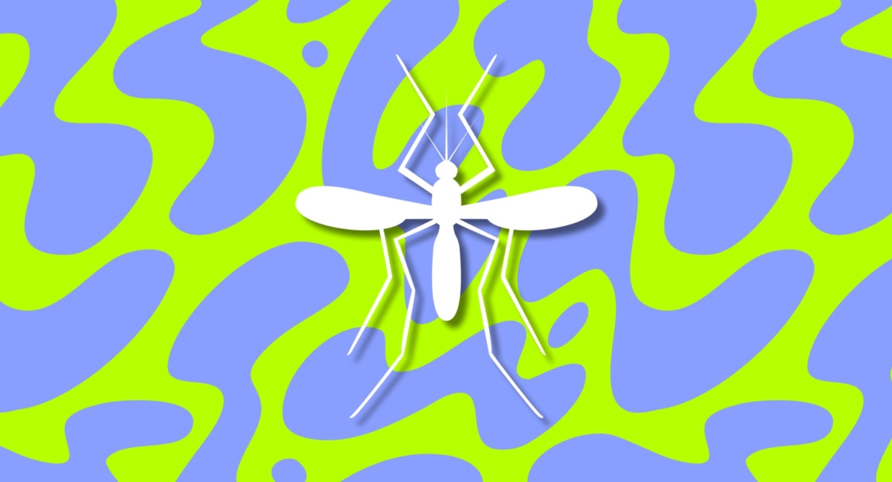 Beat The Skeeters