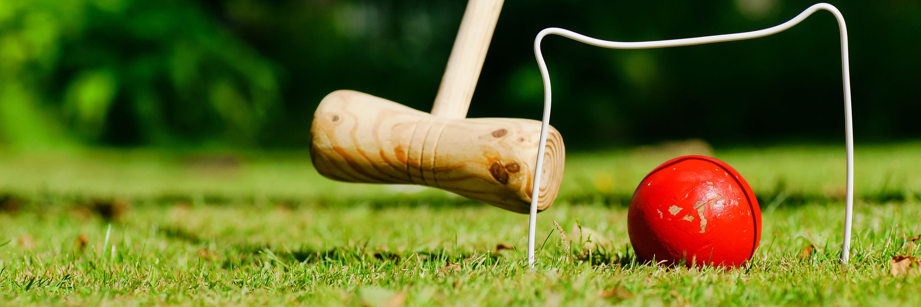 Croquet NSW