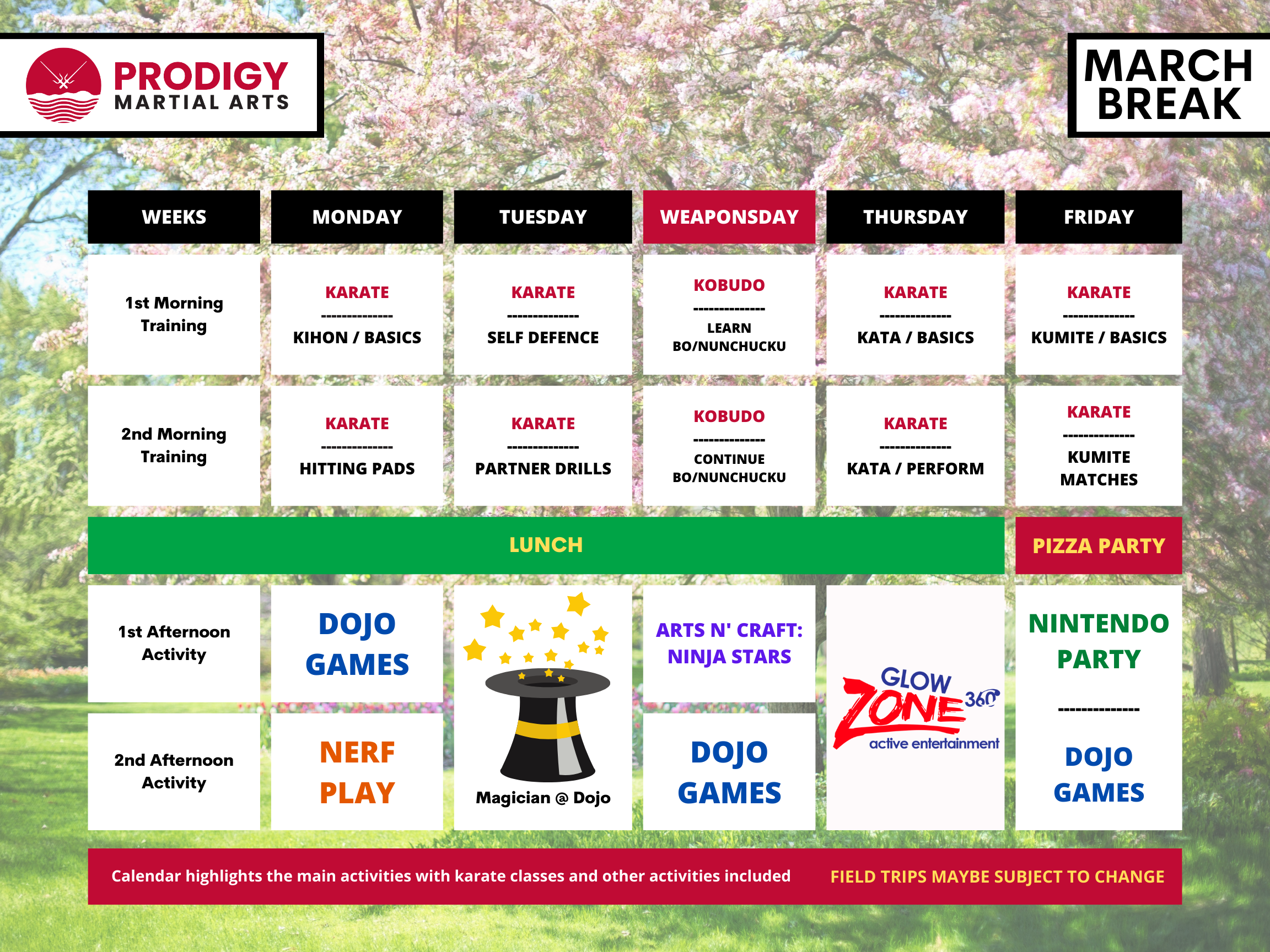 March Break Camp 2024 at Prodigy Martial Arts