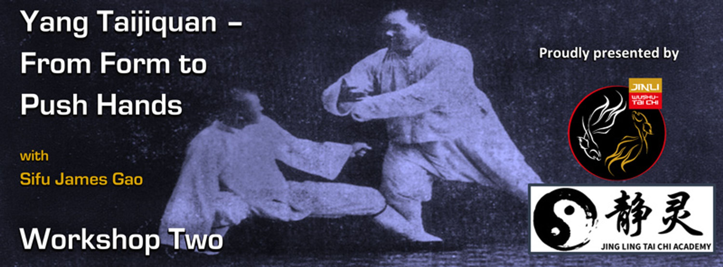 Yang Taijiquan - From Theory to Application - Workshop Three
