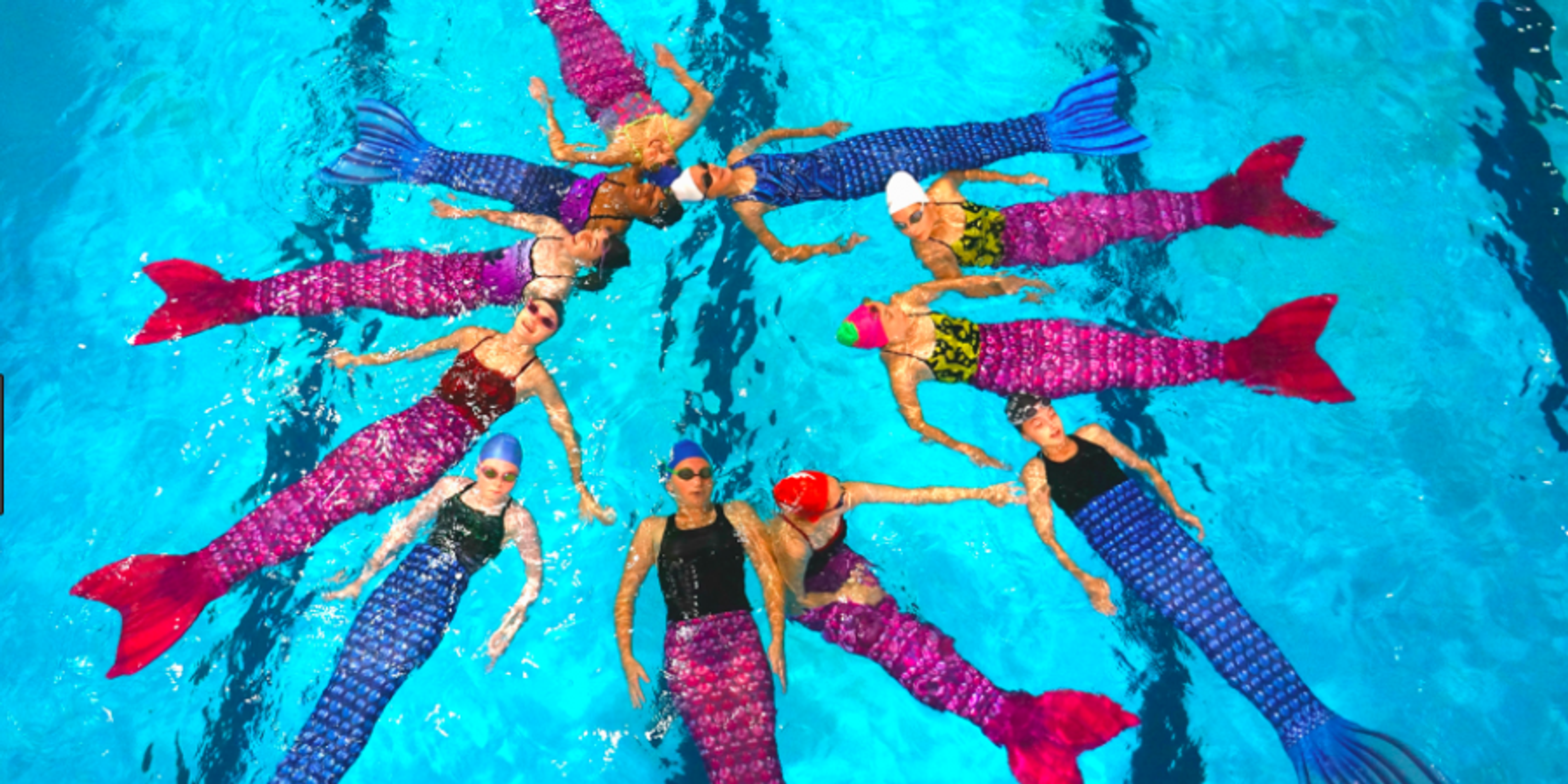 Jellyfish Swim School
