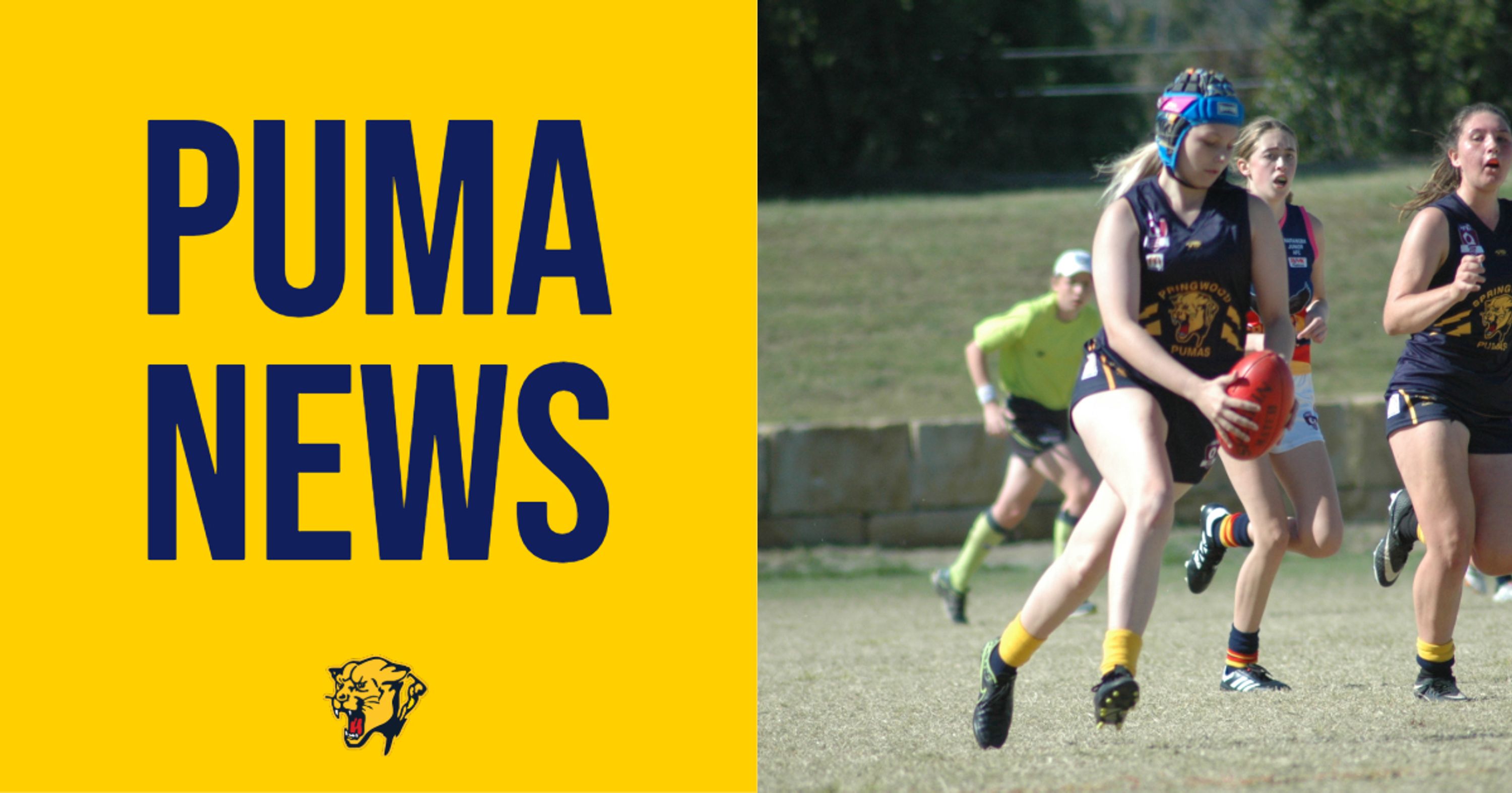 NAB Auskick at Springwood Pumas