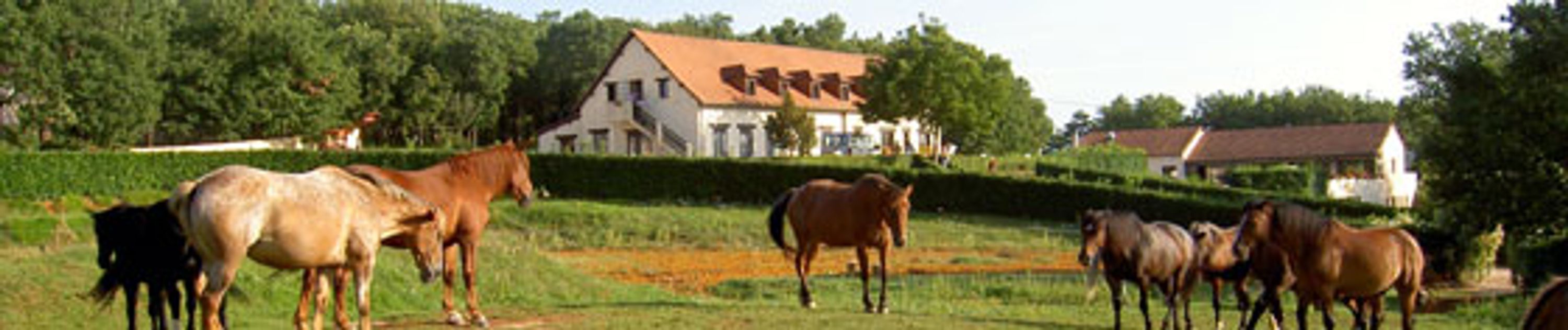 Area Des Garennes