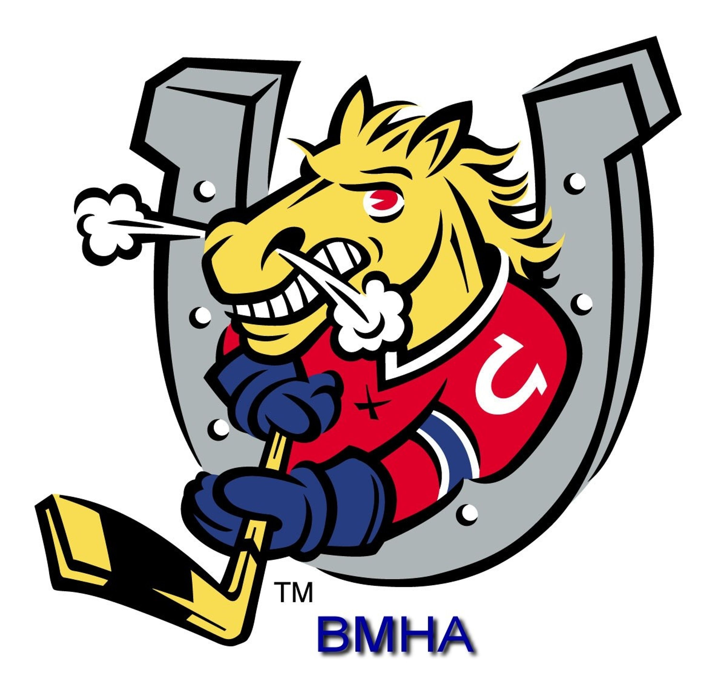Barrie Minor Hockey Initiation Program
