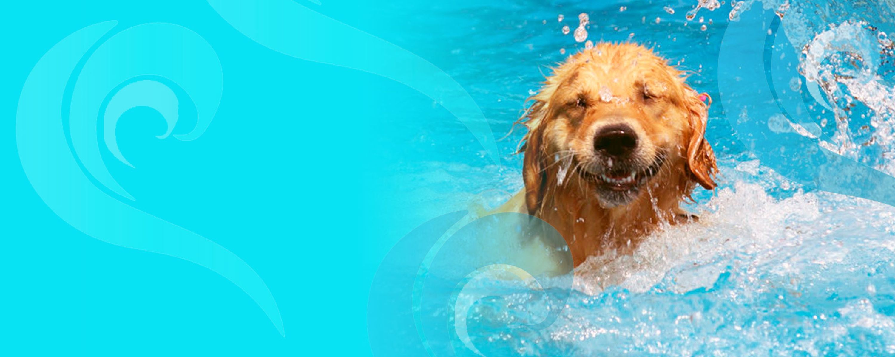 Canine Aqua Centre