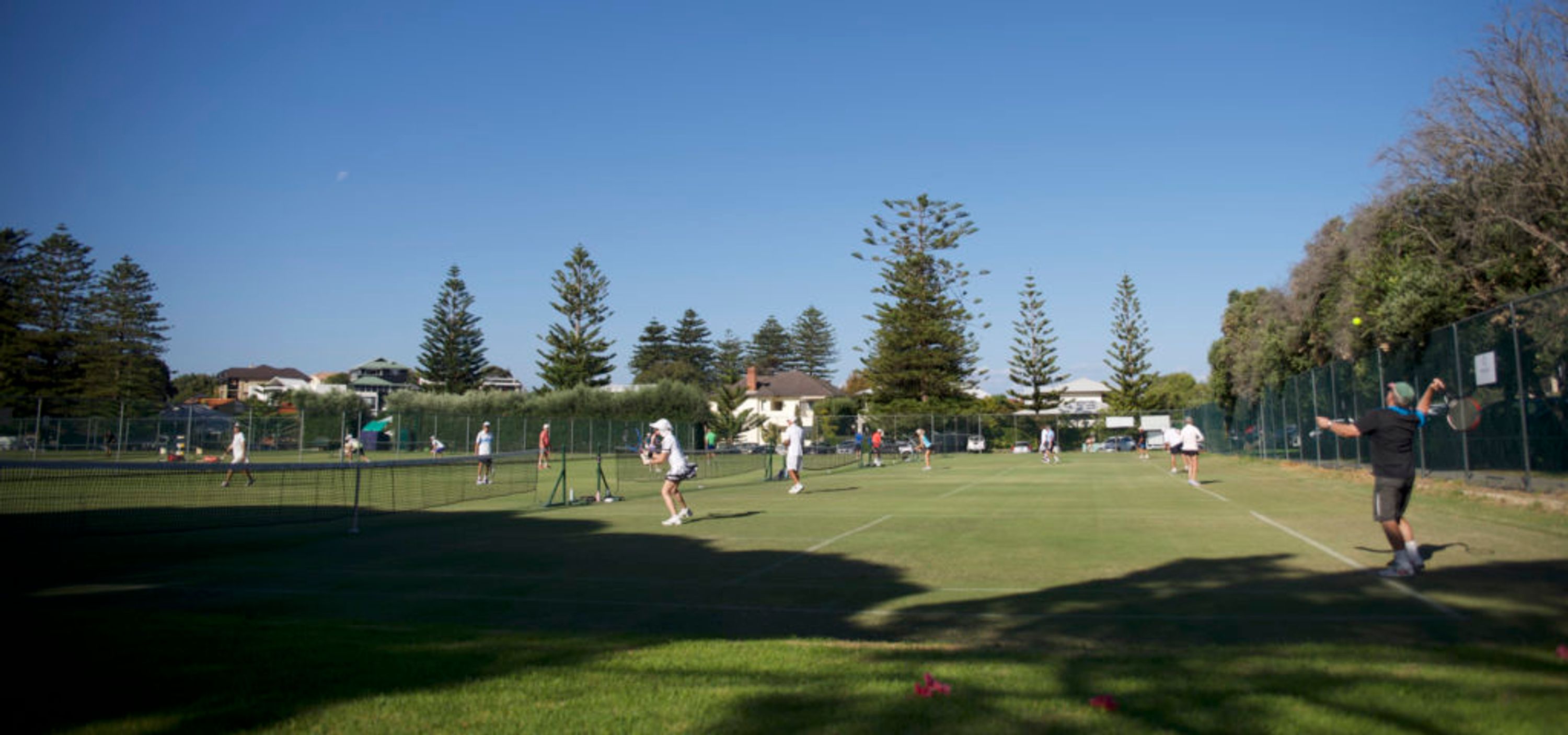 Adult Tennis Social Tennis