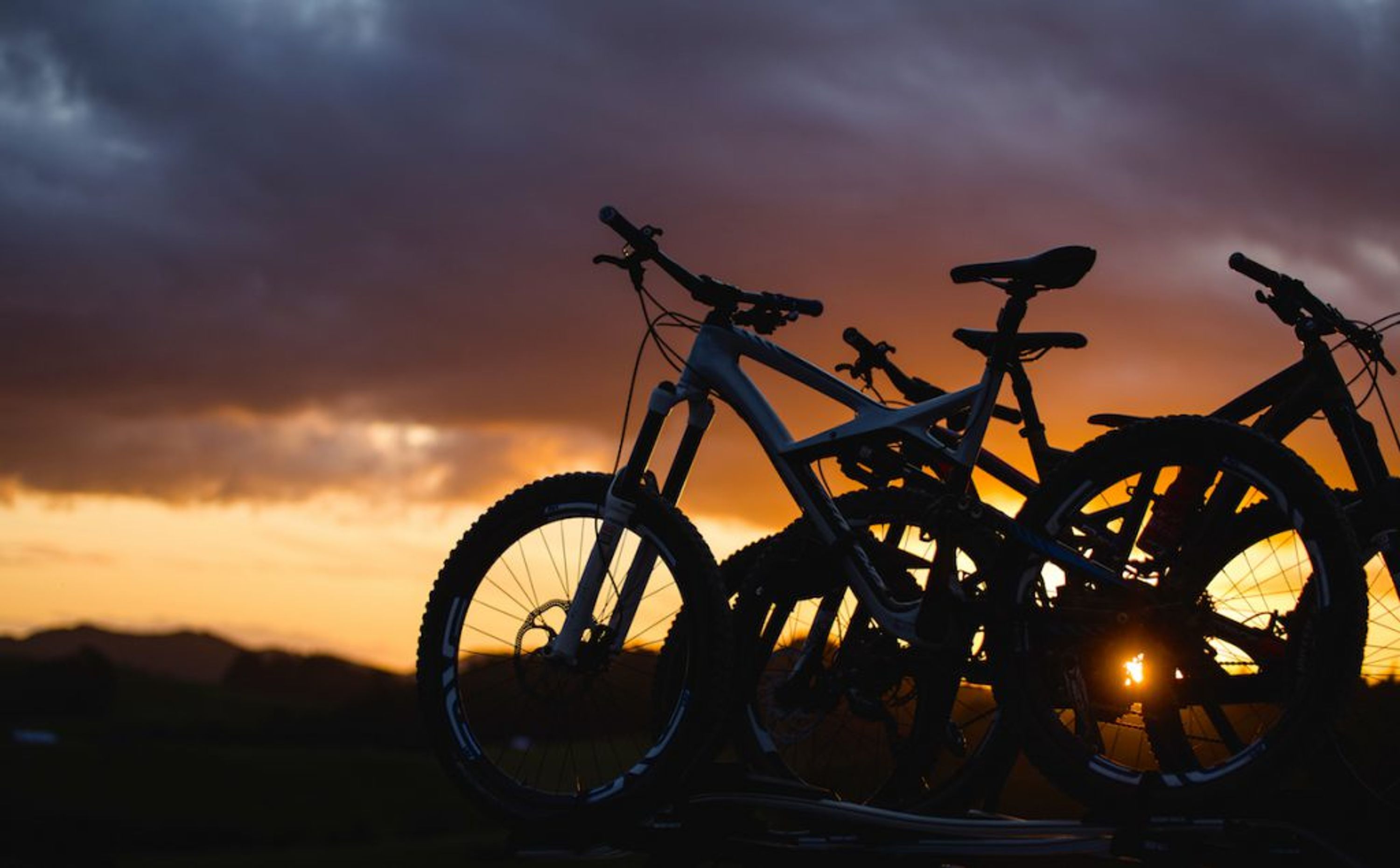 Waitangi Mountain Bike Park