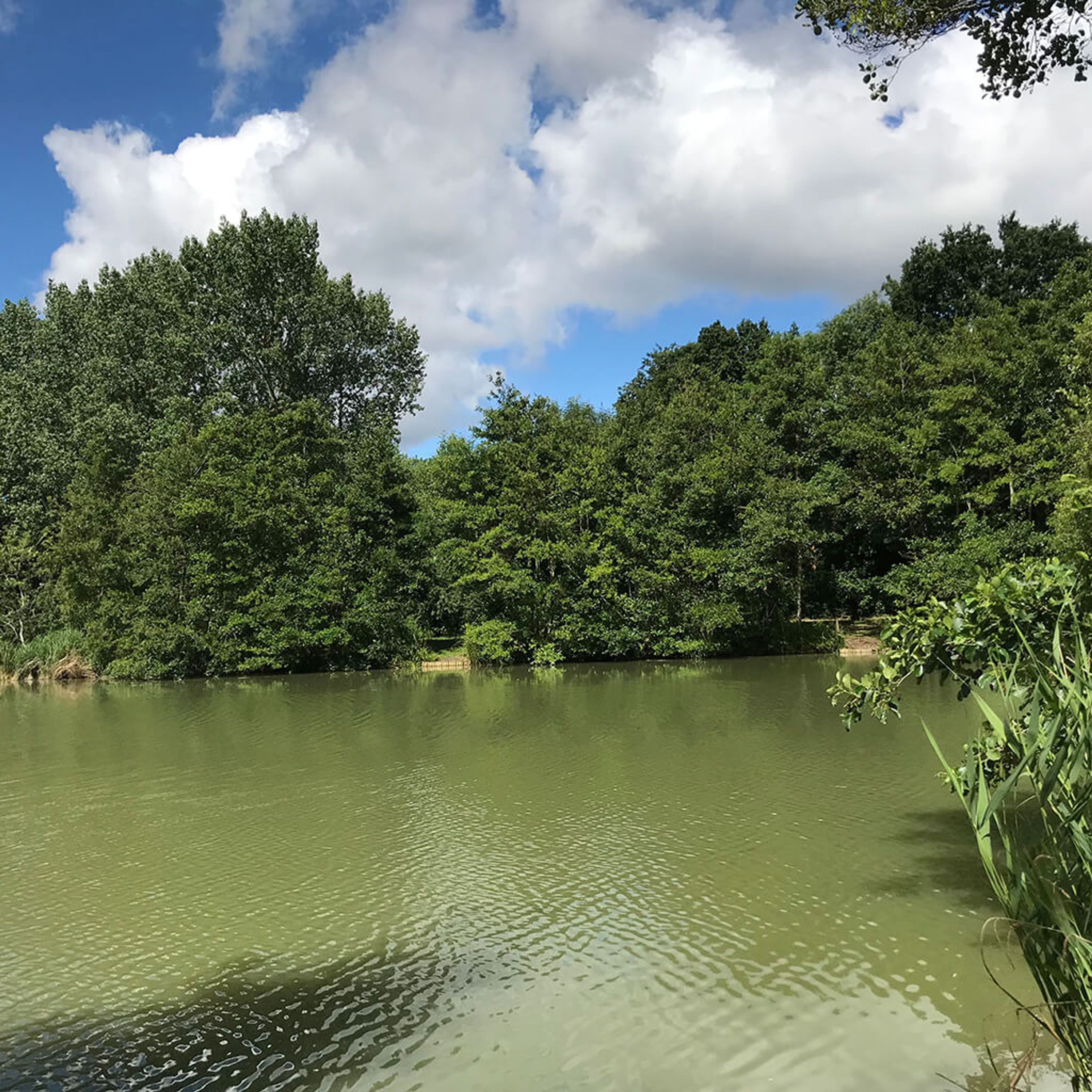 Chart Hill Lakes