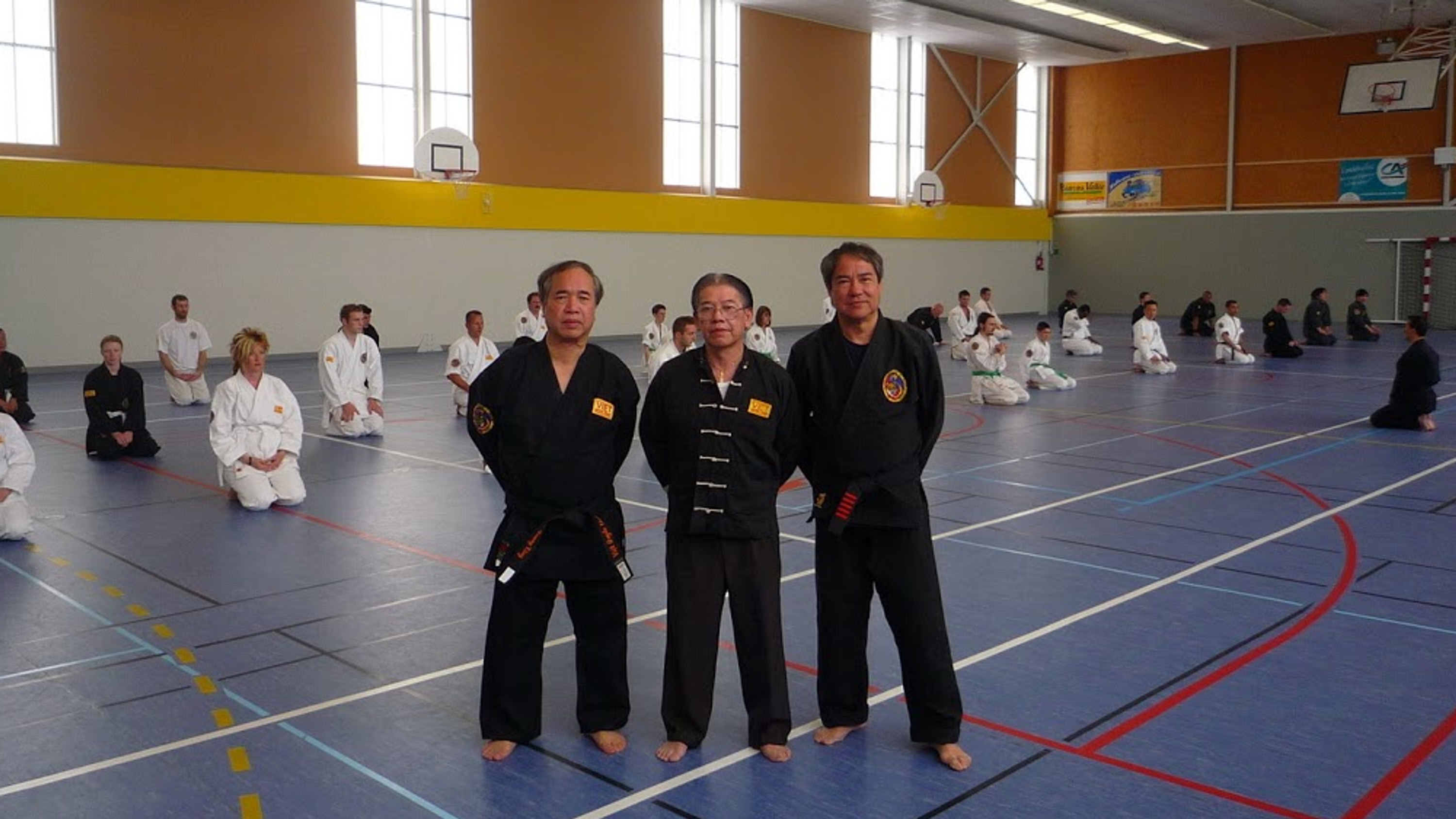 Viet Quyen Thuat Taverny
