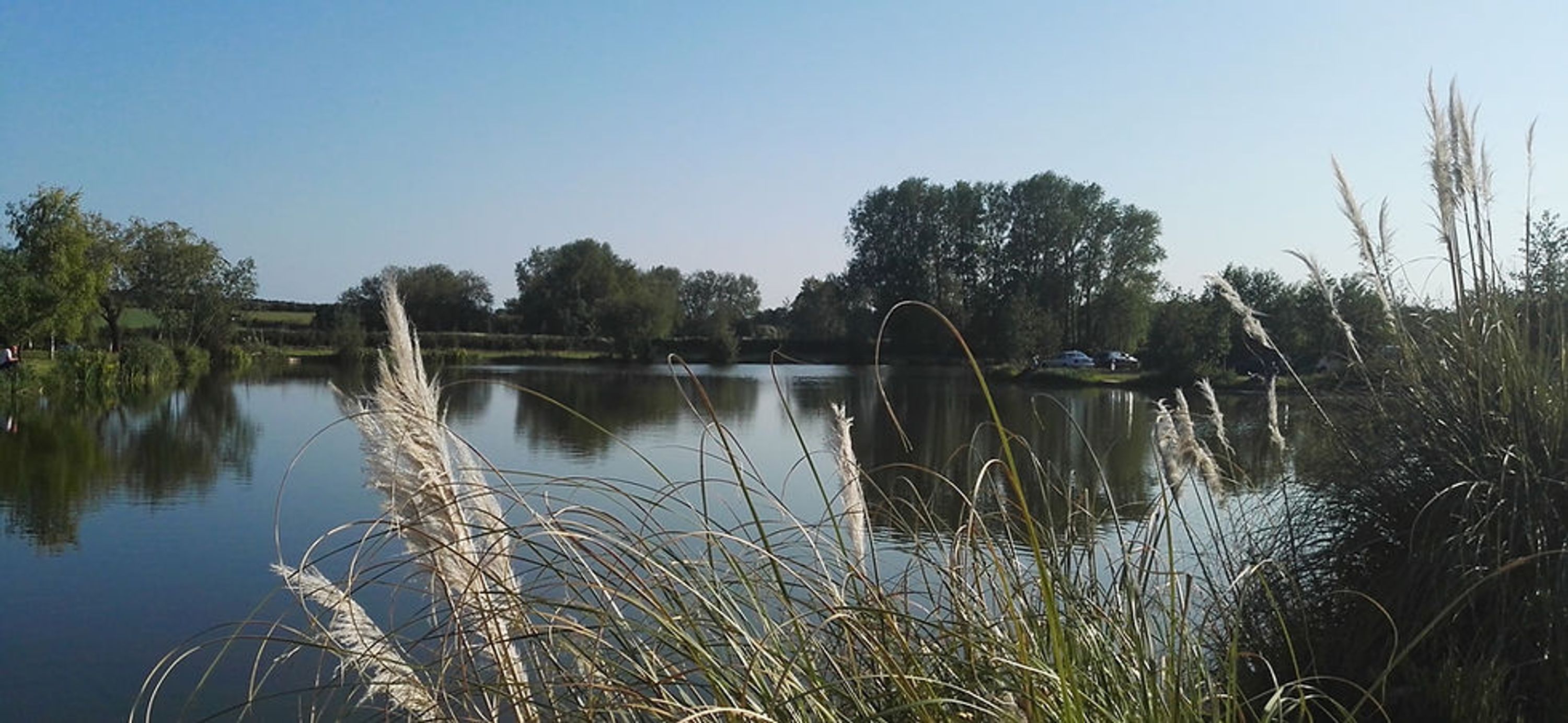 Riverside Fishery Bawtry Yorkshire