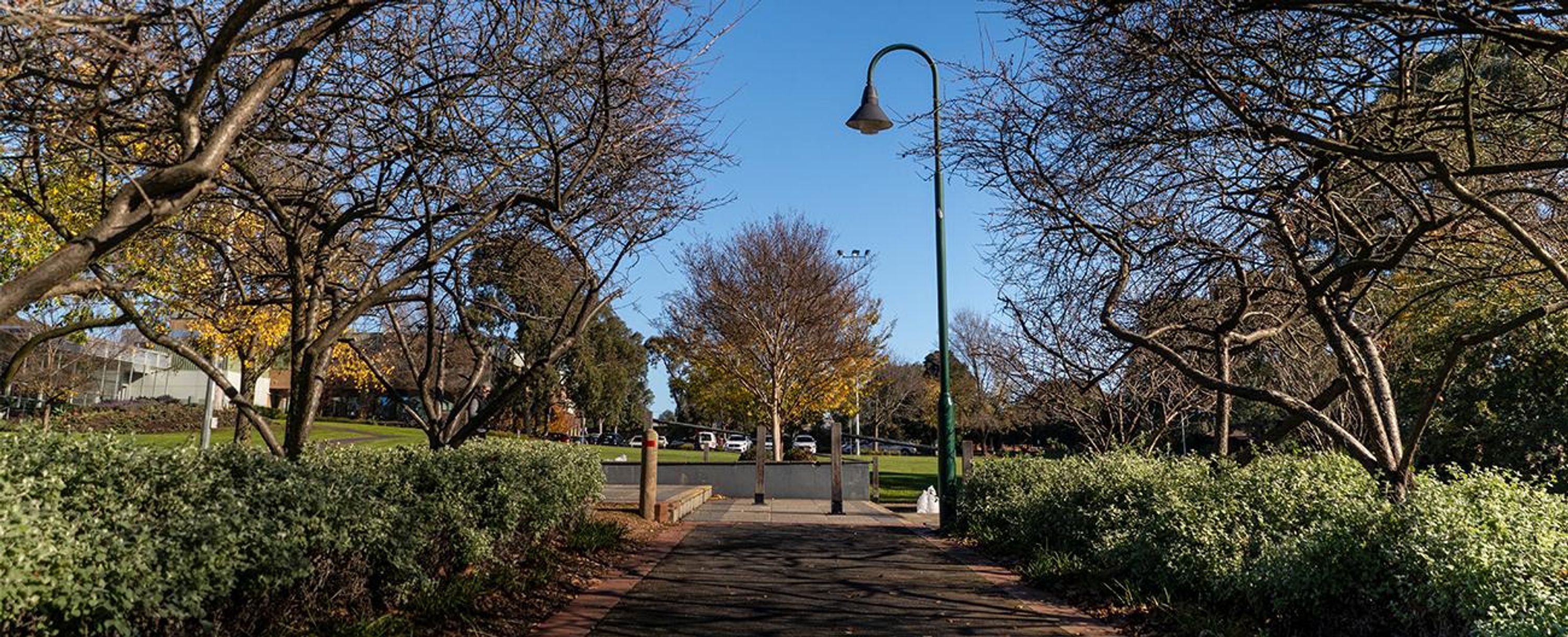 Forest Hill Reserve Basketball Court