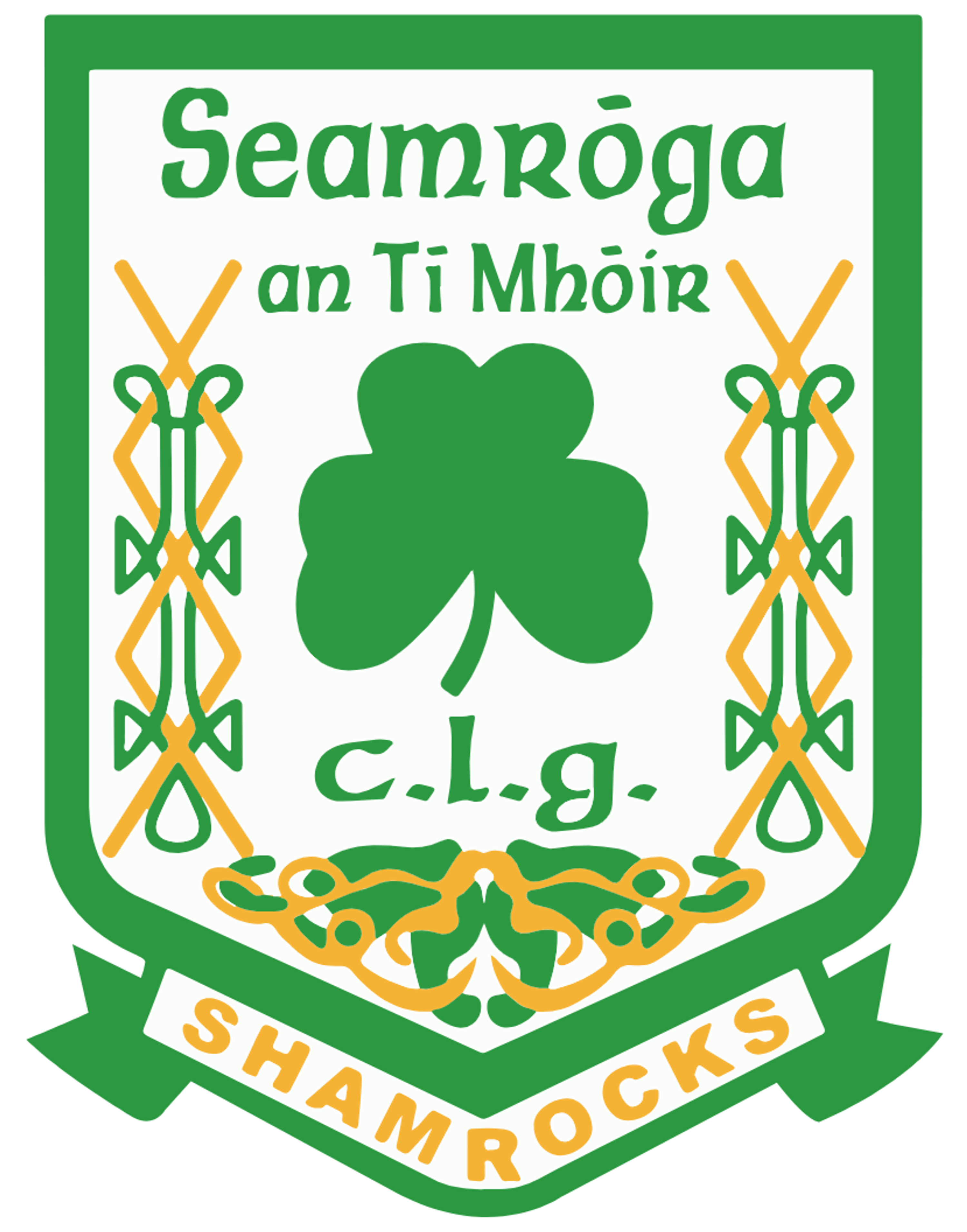 Teemore Shamrocks GAA
