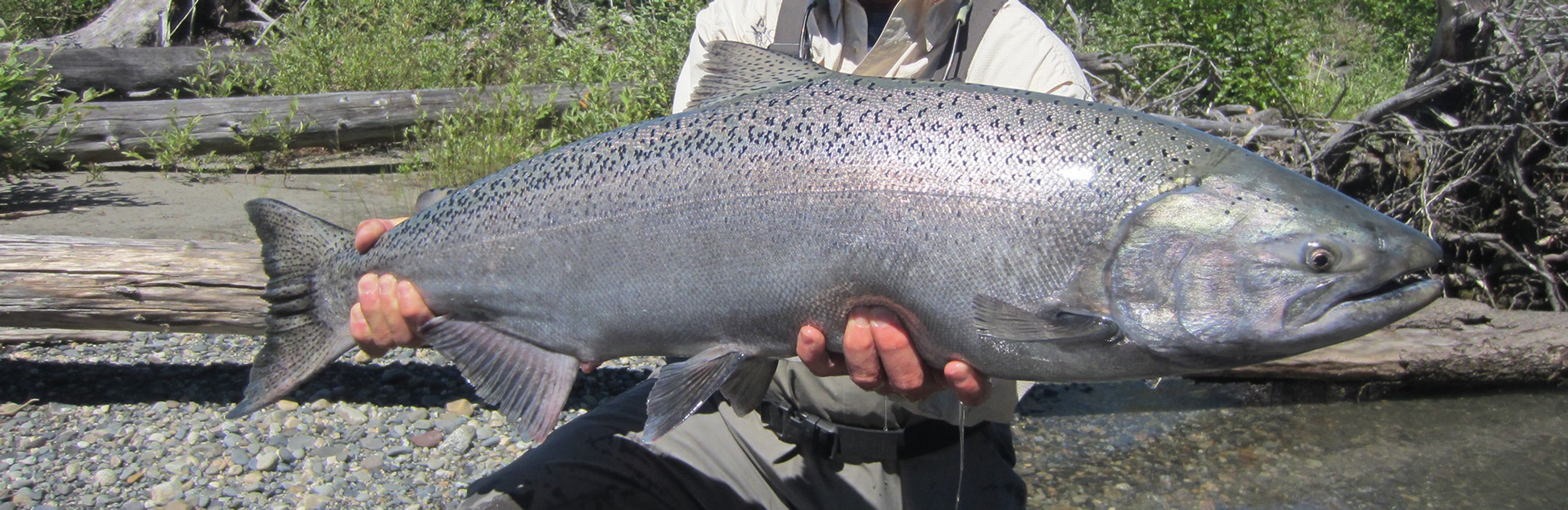 Wild Rivers Lodge