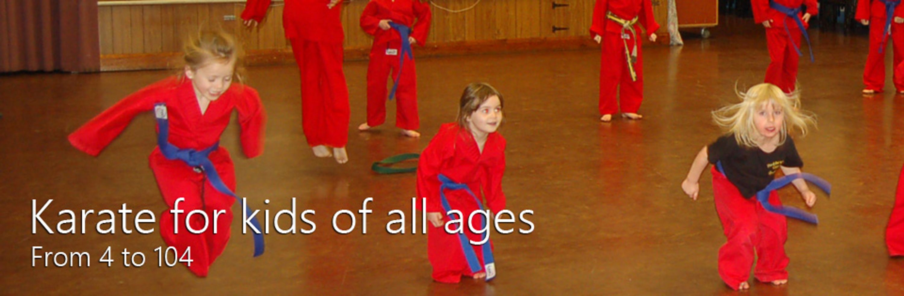 Huddersfield Cobras Freestyle Karate club