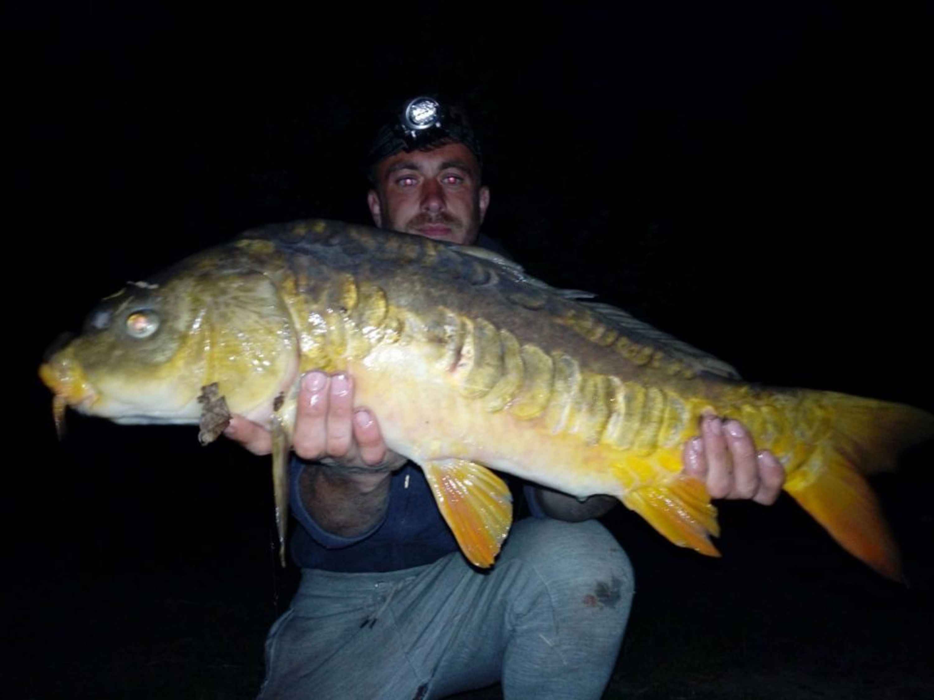 Henfold Lakes