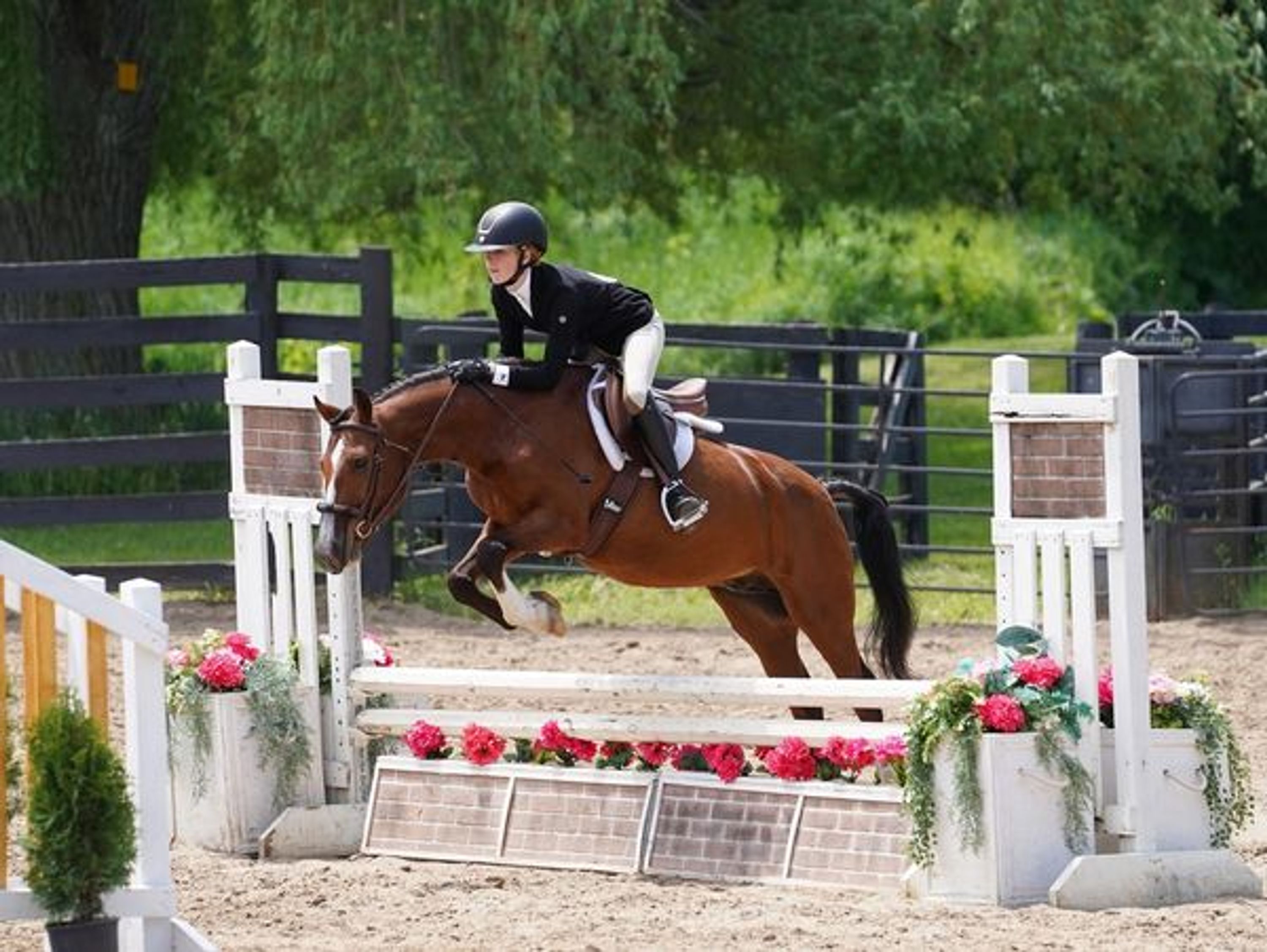 Scrapbook Camp at Greyden Equestrian