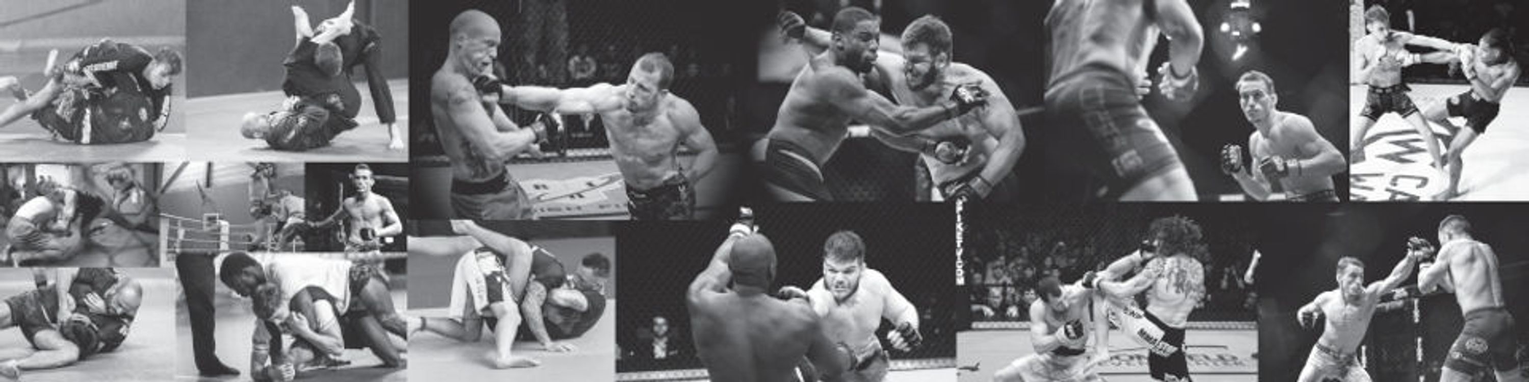 Bushido Académie : MMA, Jiu-jitsu brésilien, baby arts martiaux,