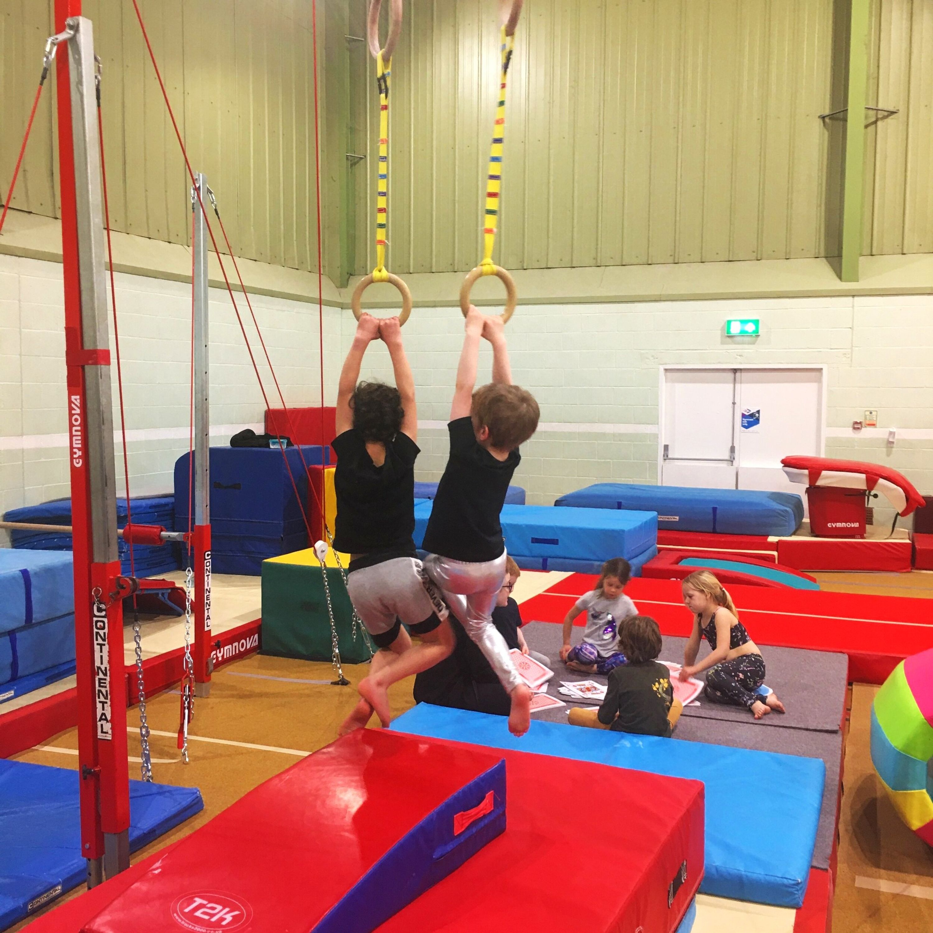 Recreational Gymnastics Class