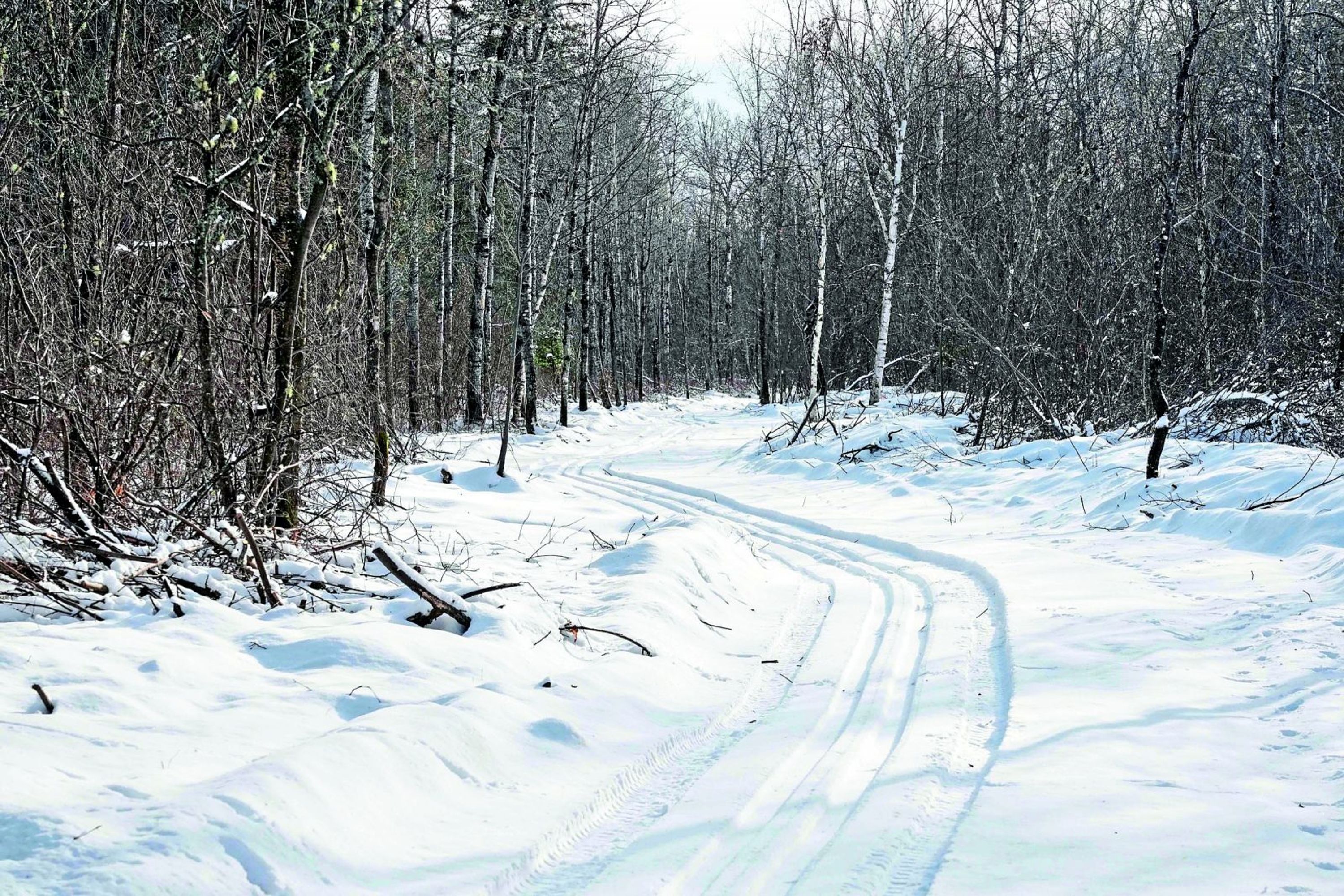 Club de ski de fond La Tuque rouge