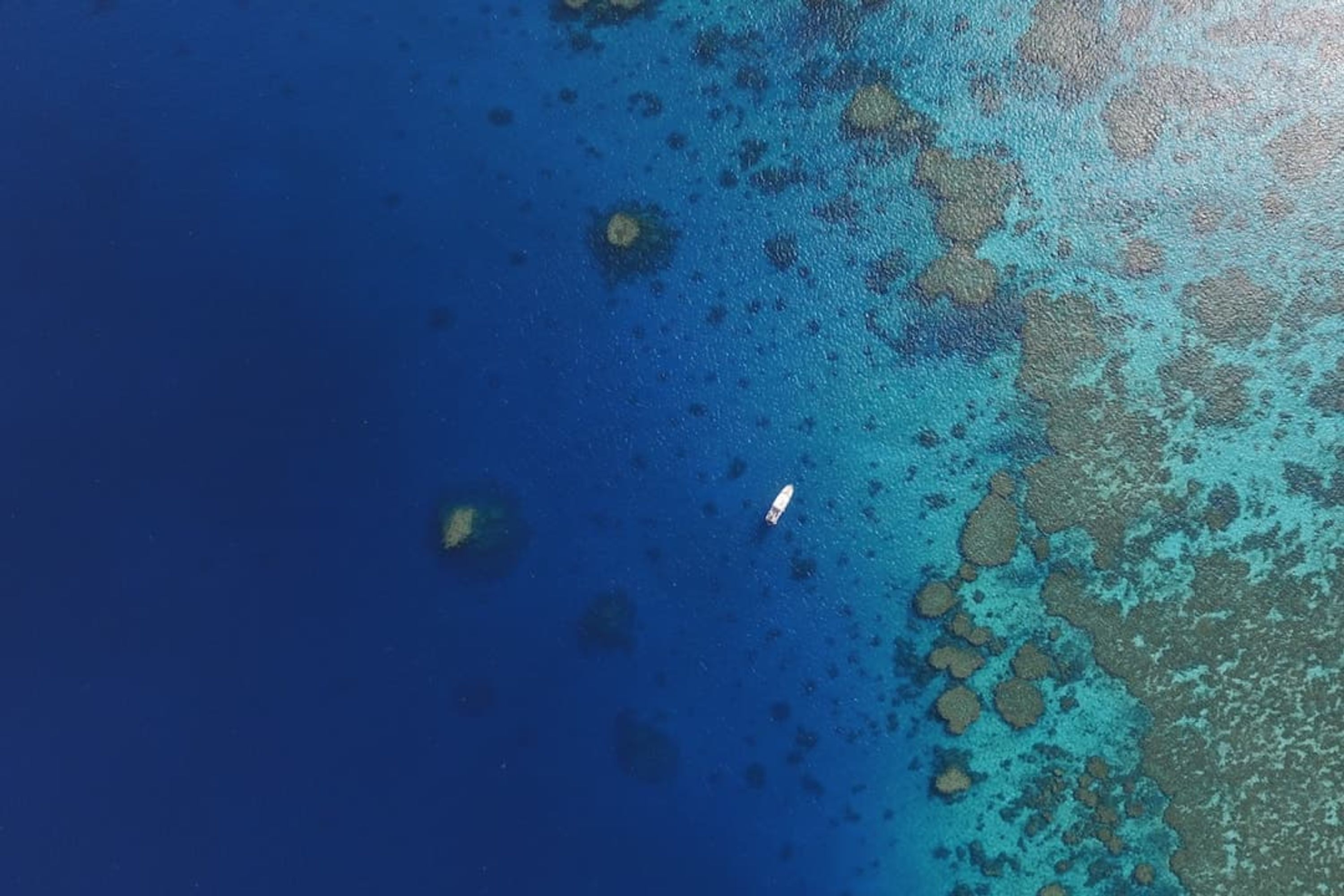 Aroona Luxury Boat Charters