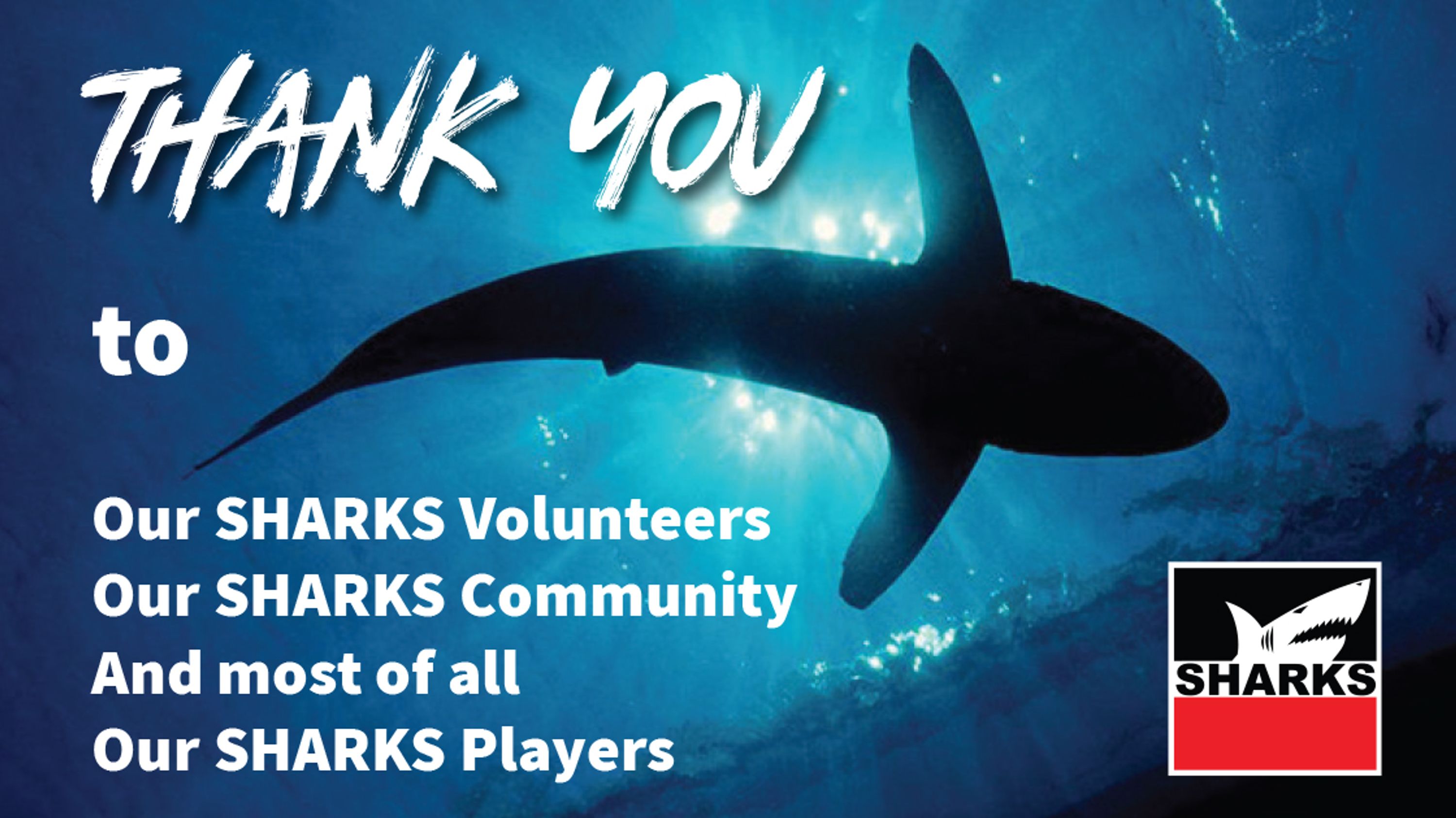 Sharks Auskick Program