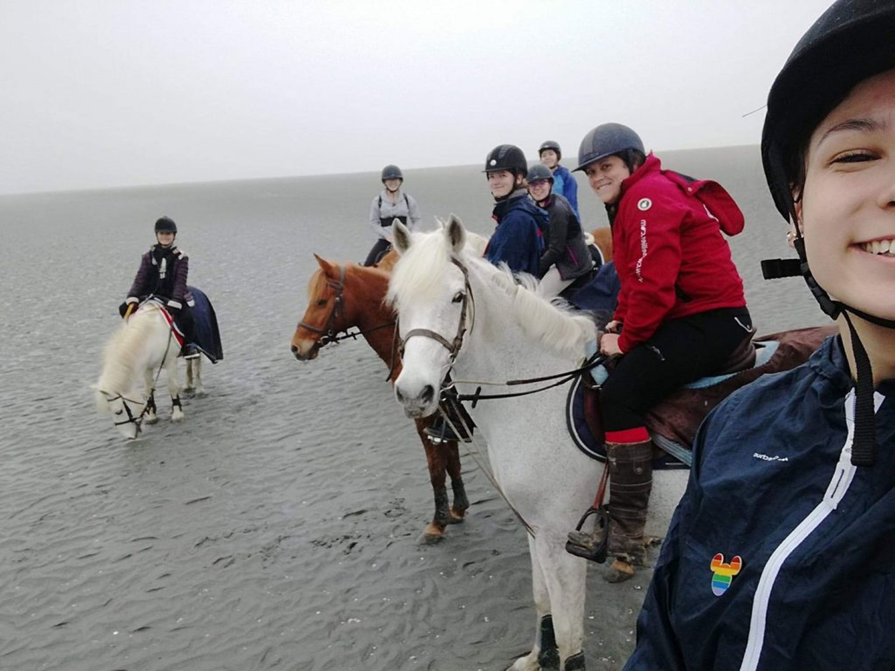ECOLE D EQUITATION DE LAMORLAYE