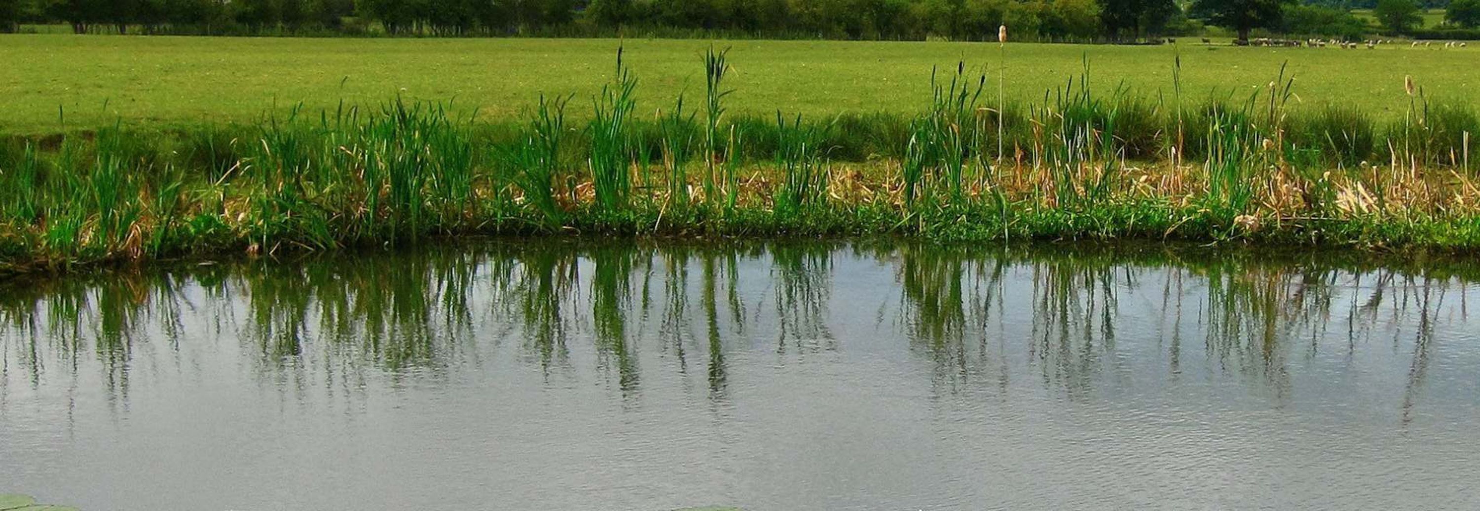 Albrighton Anglers Fishing Club Membership