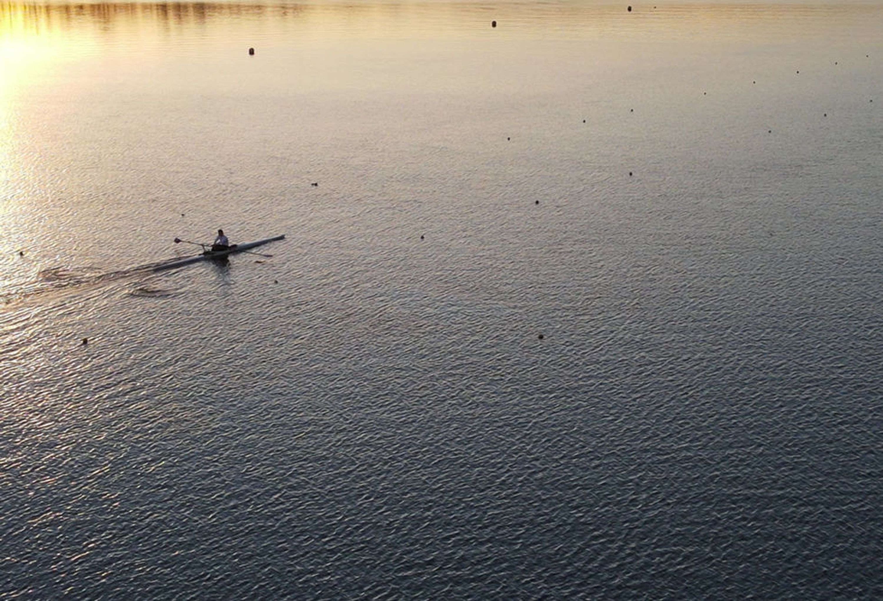 ASCE ROWING 91