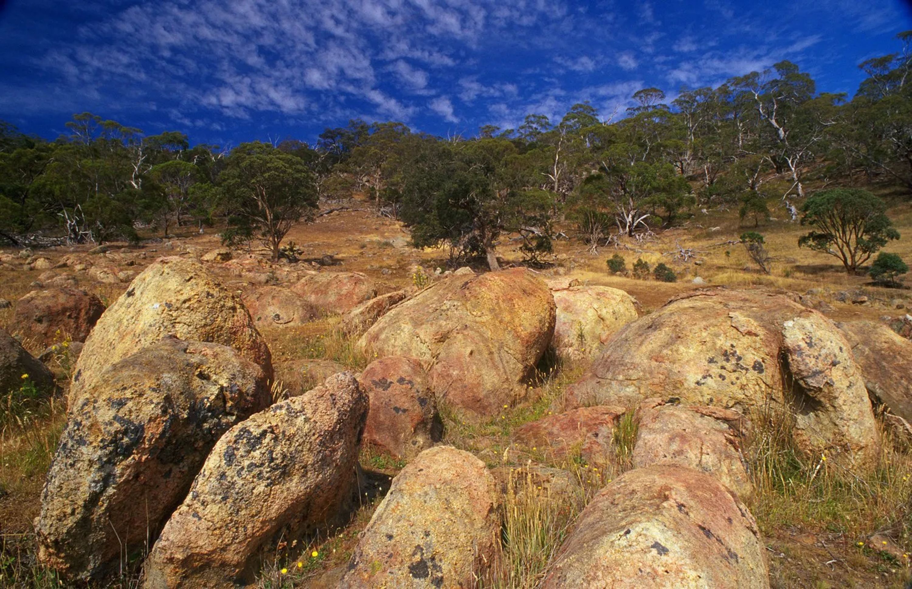 Leanganook Track