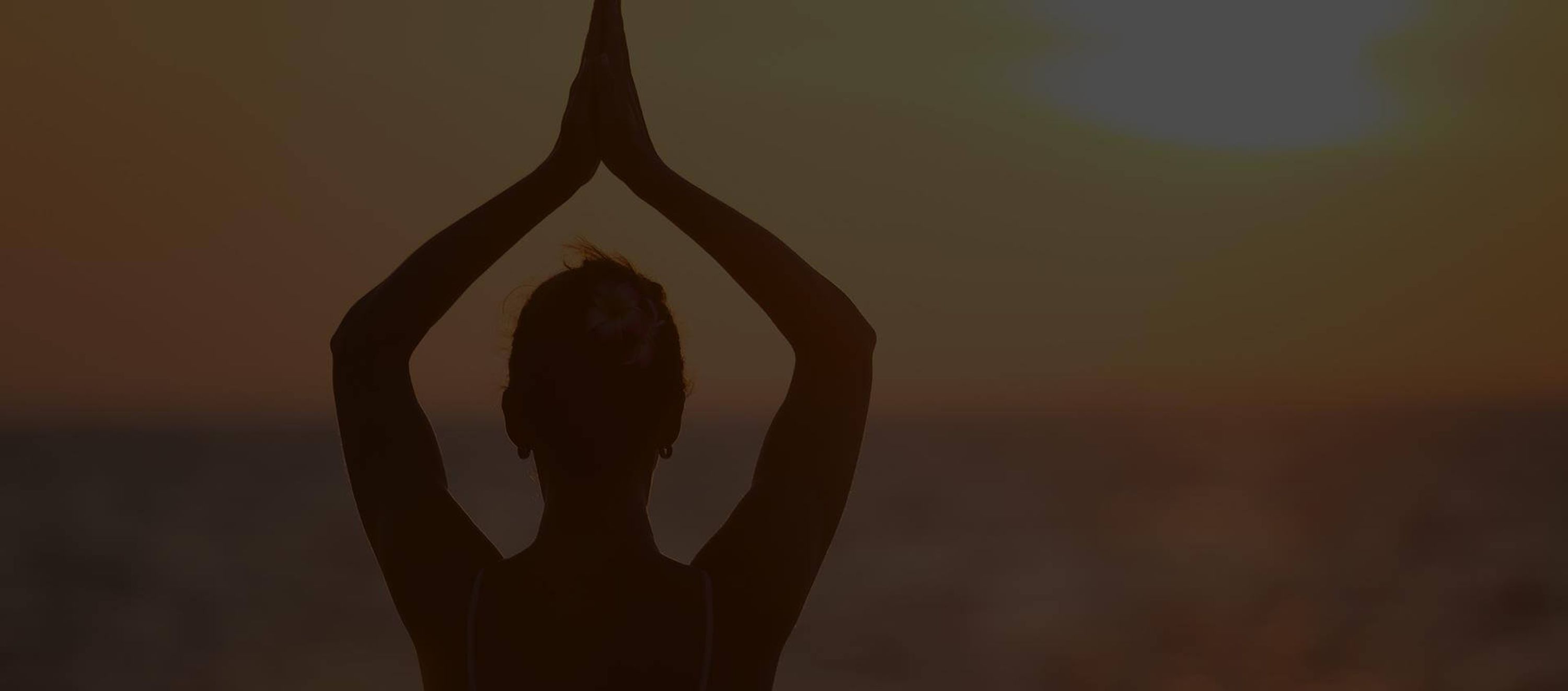 Drezen Studio : Sport, Yoga & Co