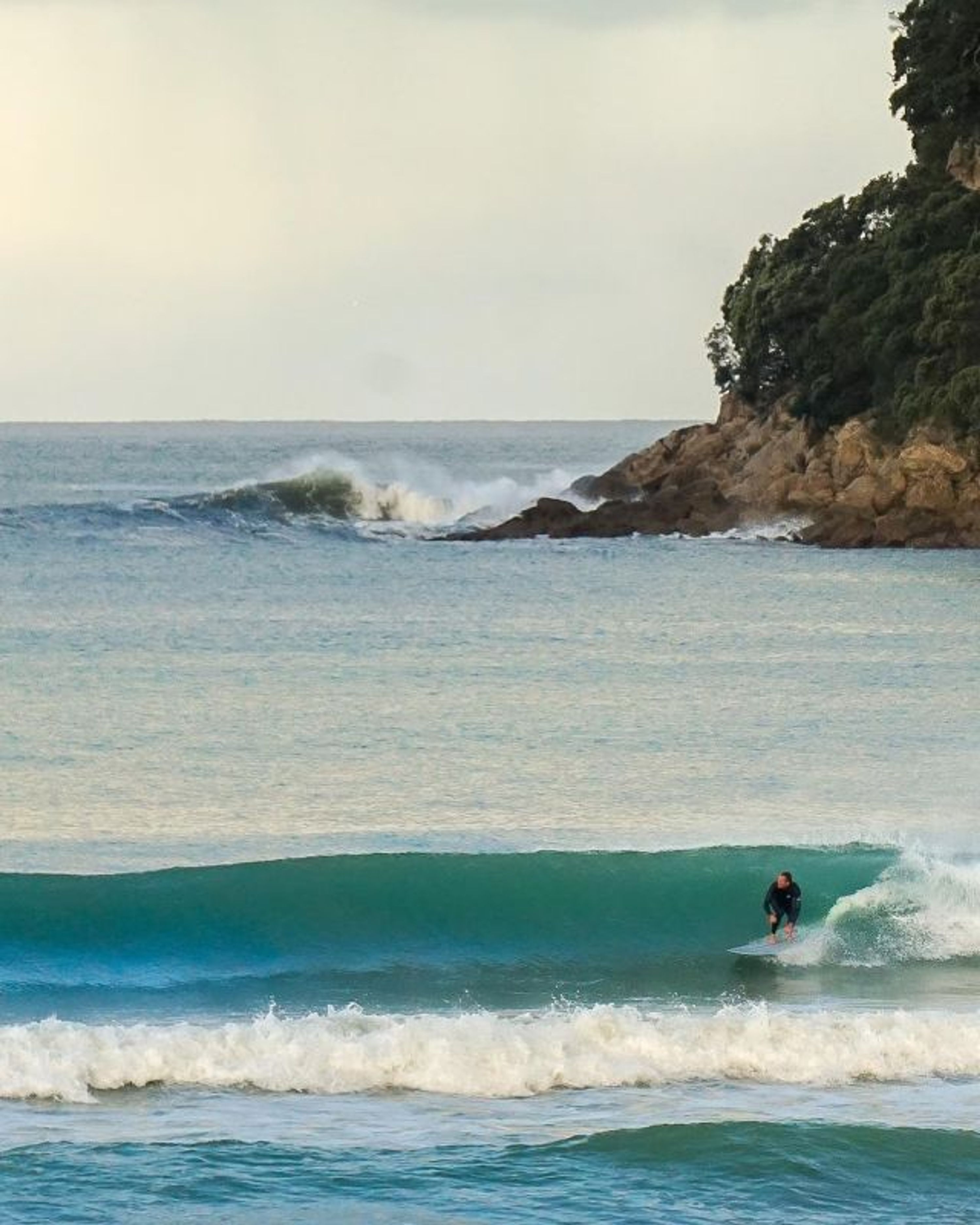 Surfsup New Zealand