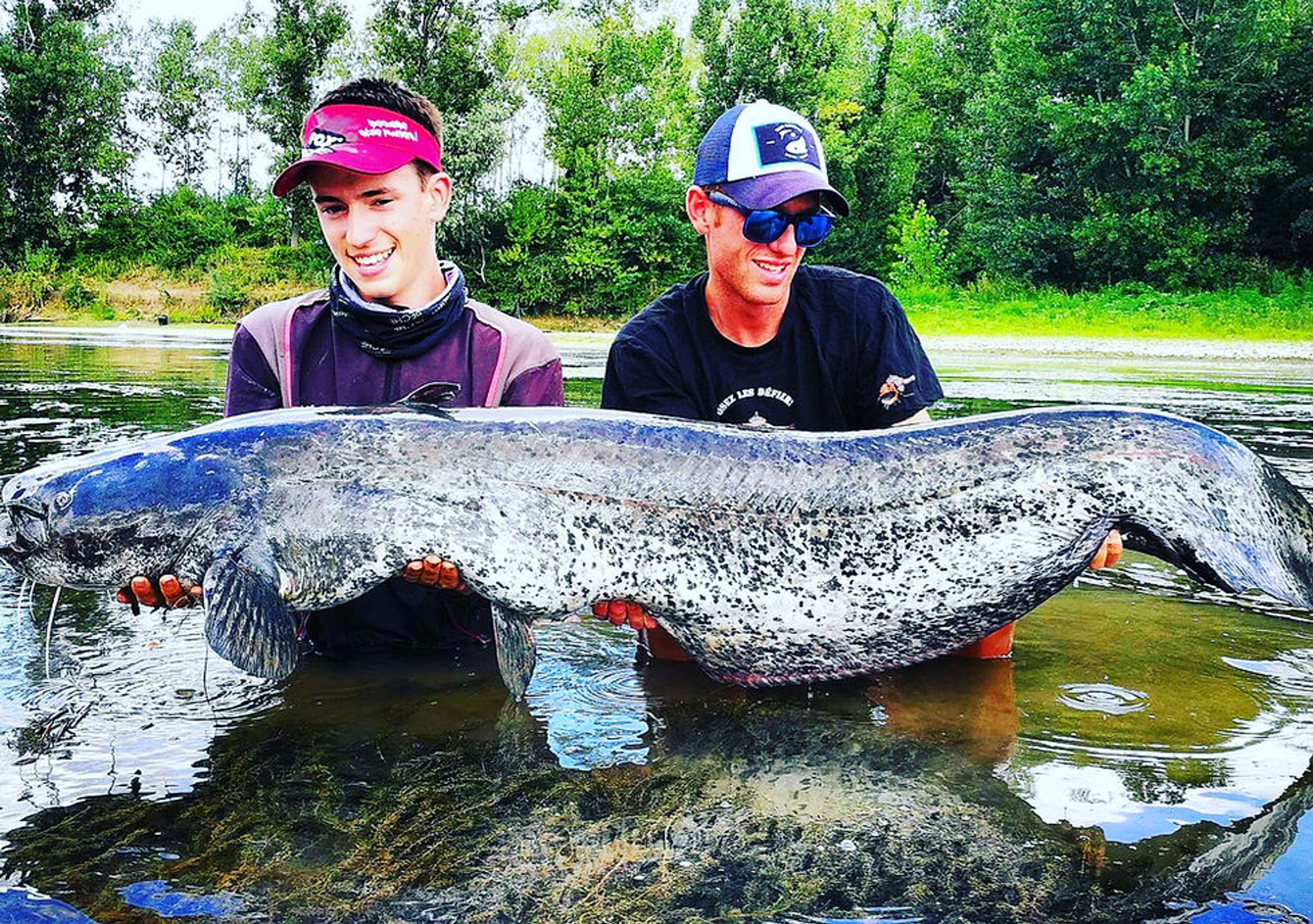 Garonne Monsters
