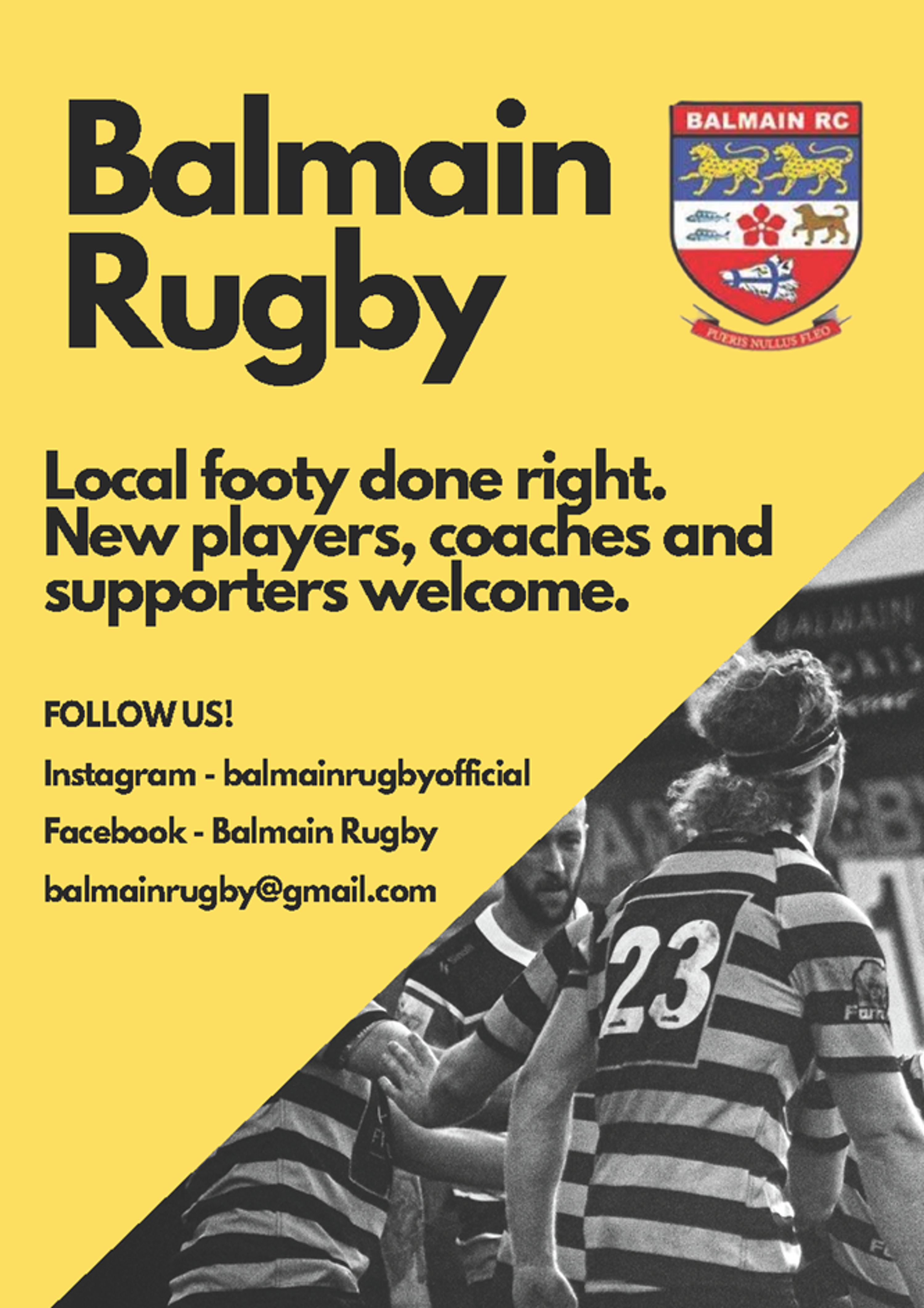 Join Today Seniors balmainrugby