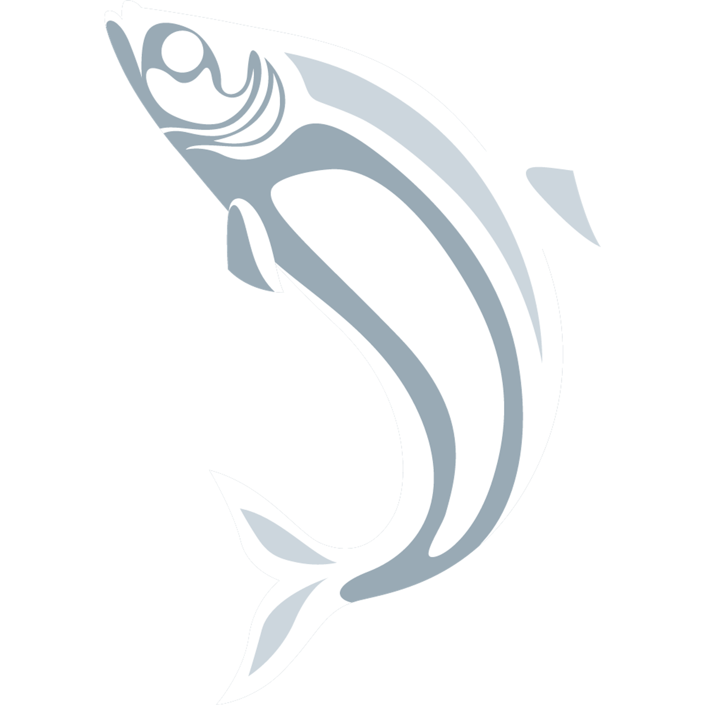 Wild Frontier Charters