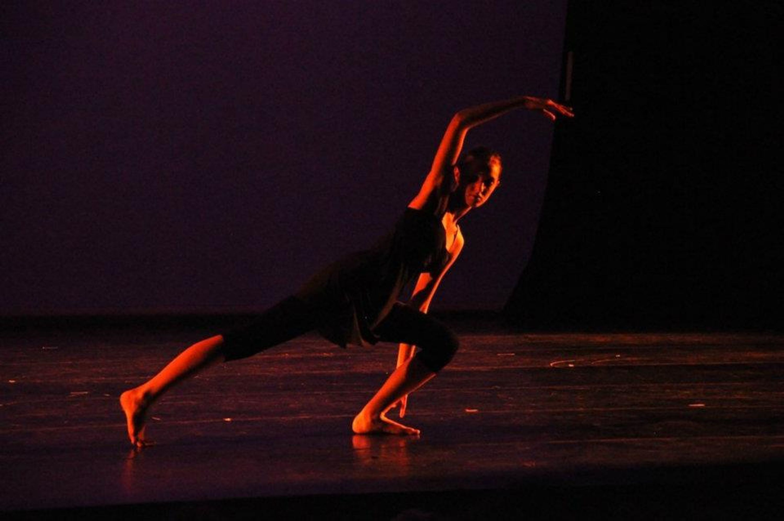 Ainsi Danse