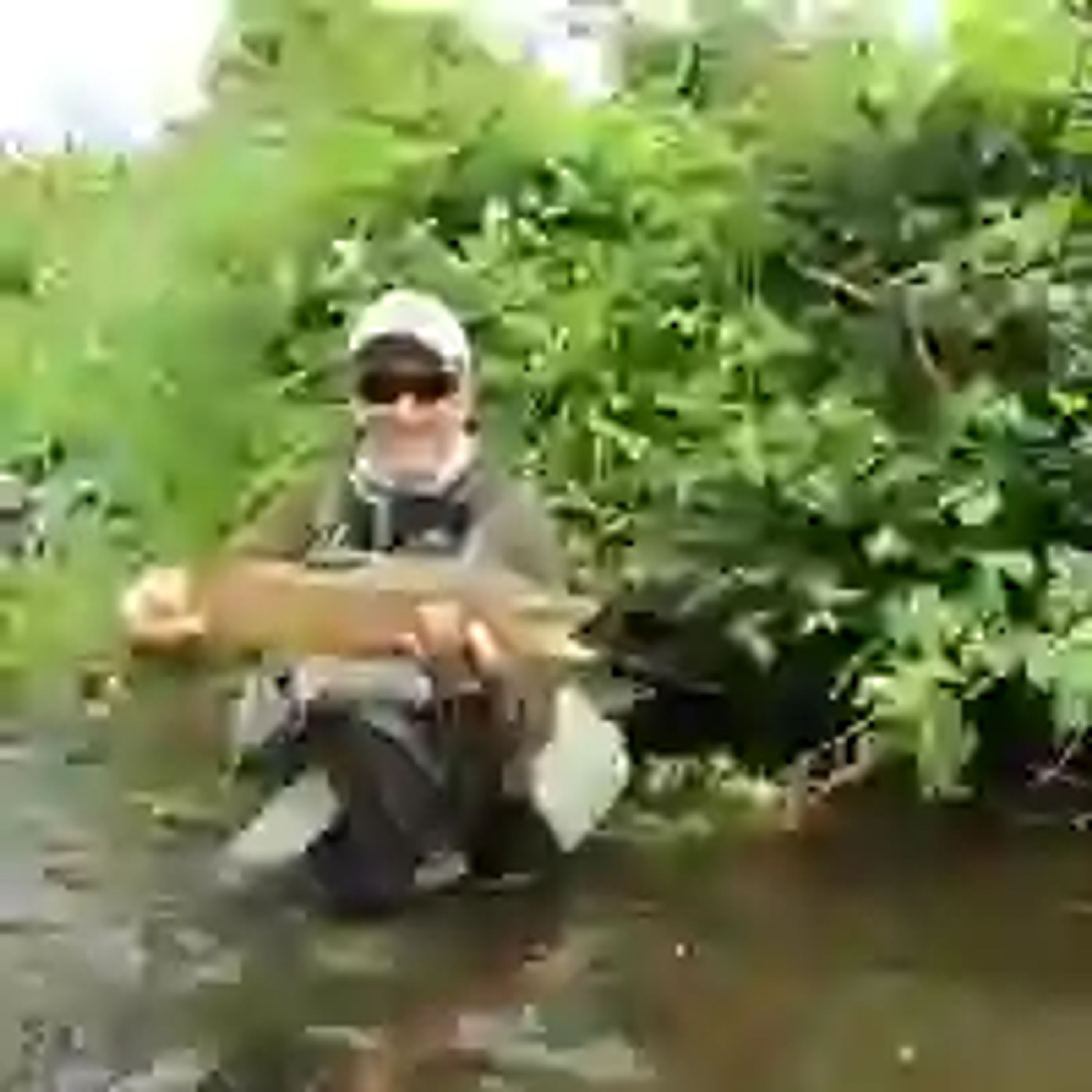 Guided Fly Fishing Taranaki and Taupo
