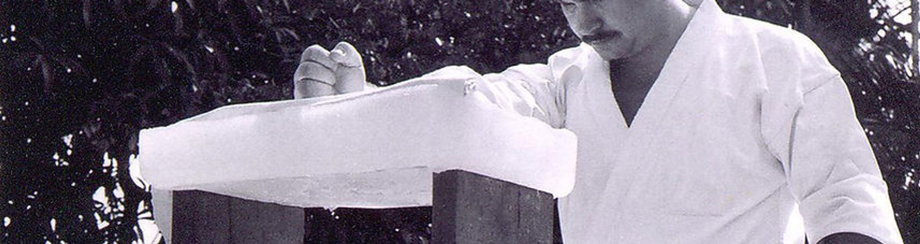 Shubukan Karate