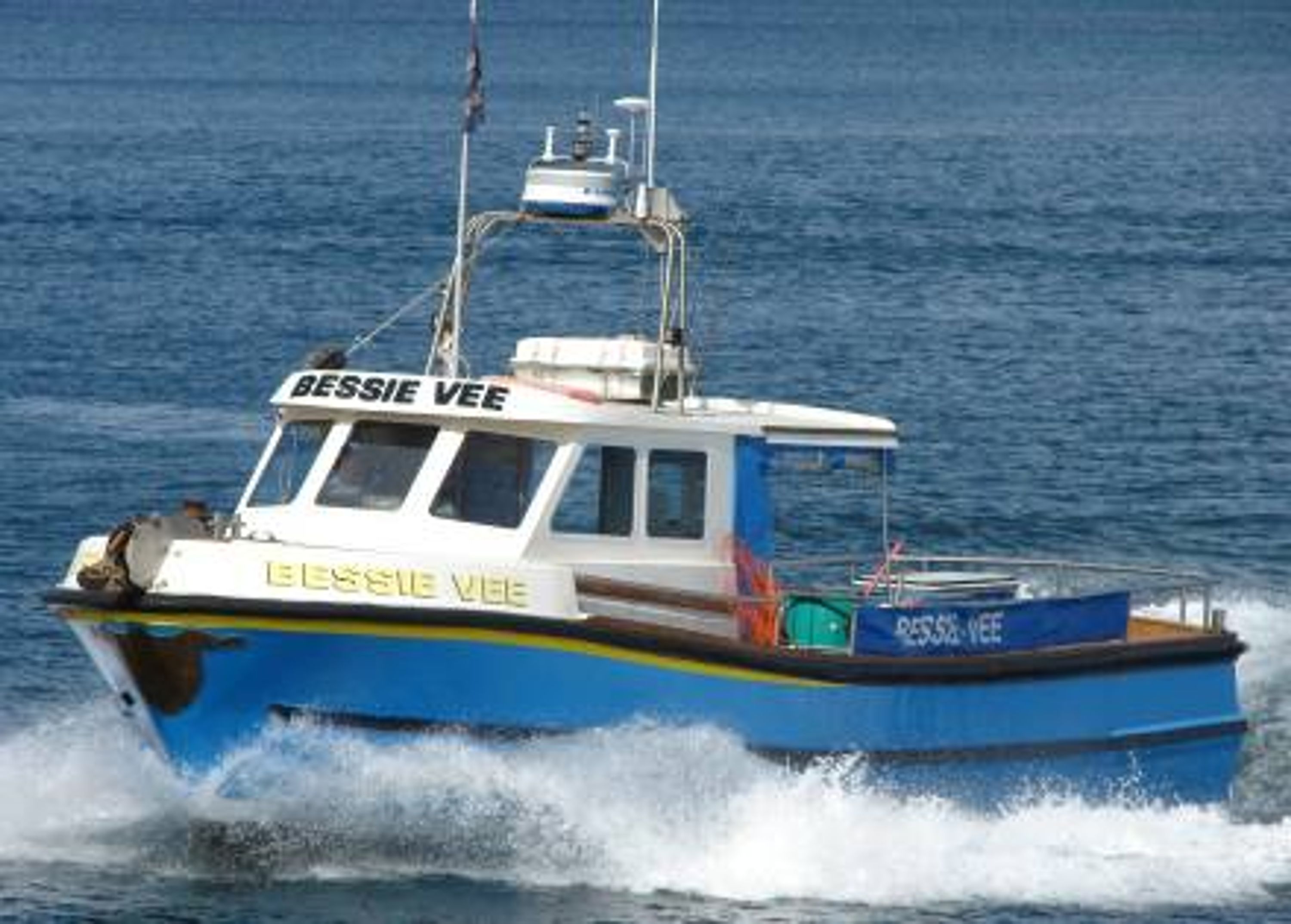 Bessie Vee Charters