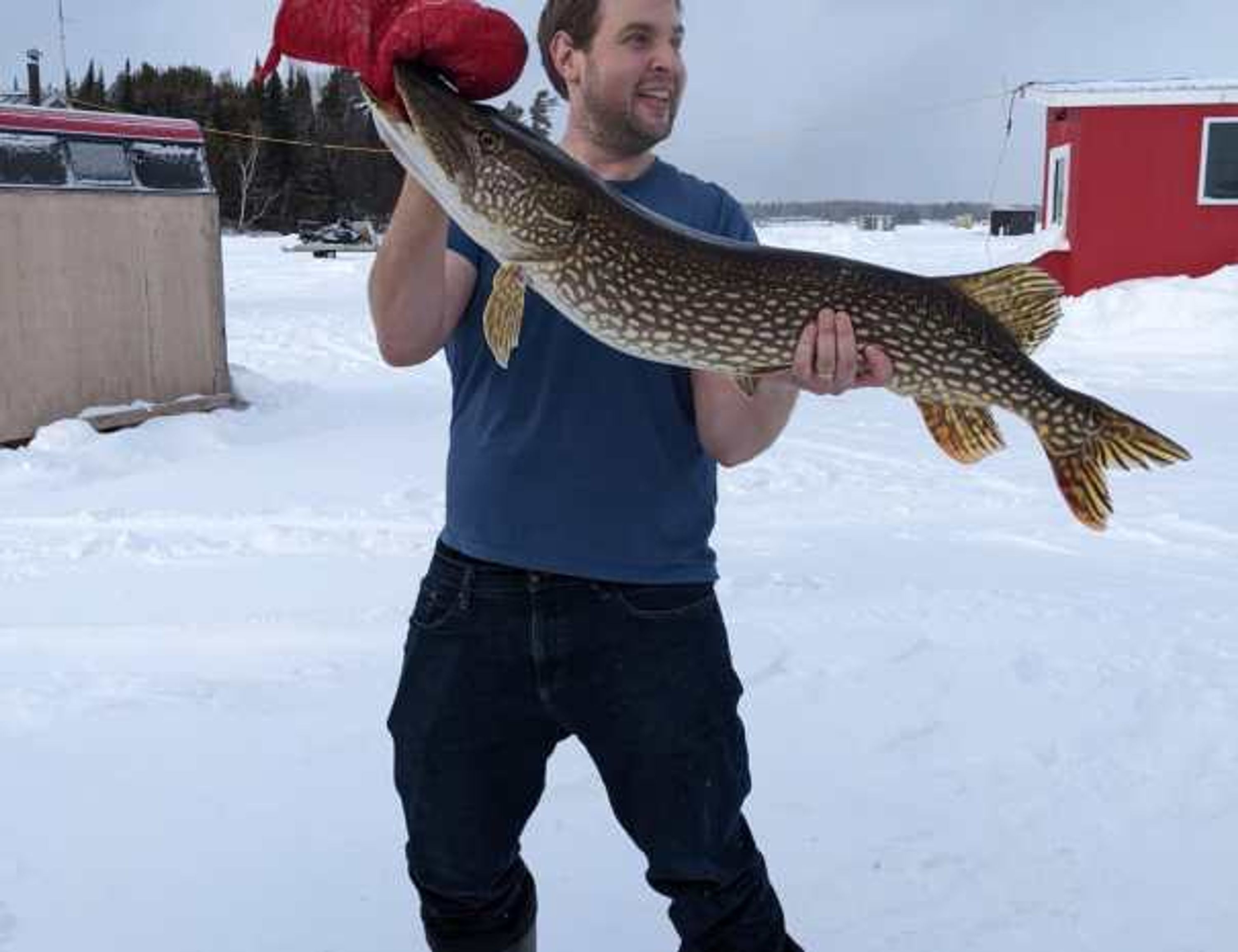 Sugar Shack Rentals